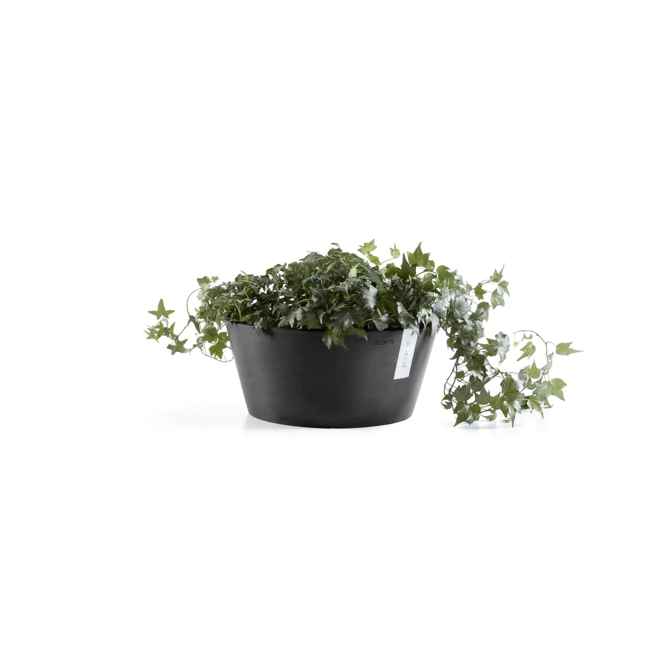 Ecopots Pflanztopf Frankfurt Ø 30,6 x 15 cm dunkelgrau Ecopots Pflanztopf Frankfurt Ø 30,6 x 15 cm dunkelgrau