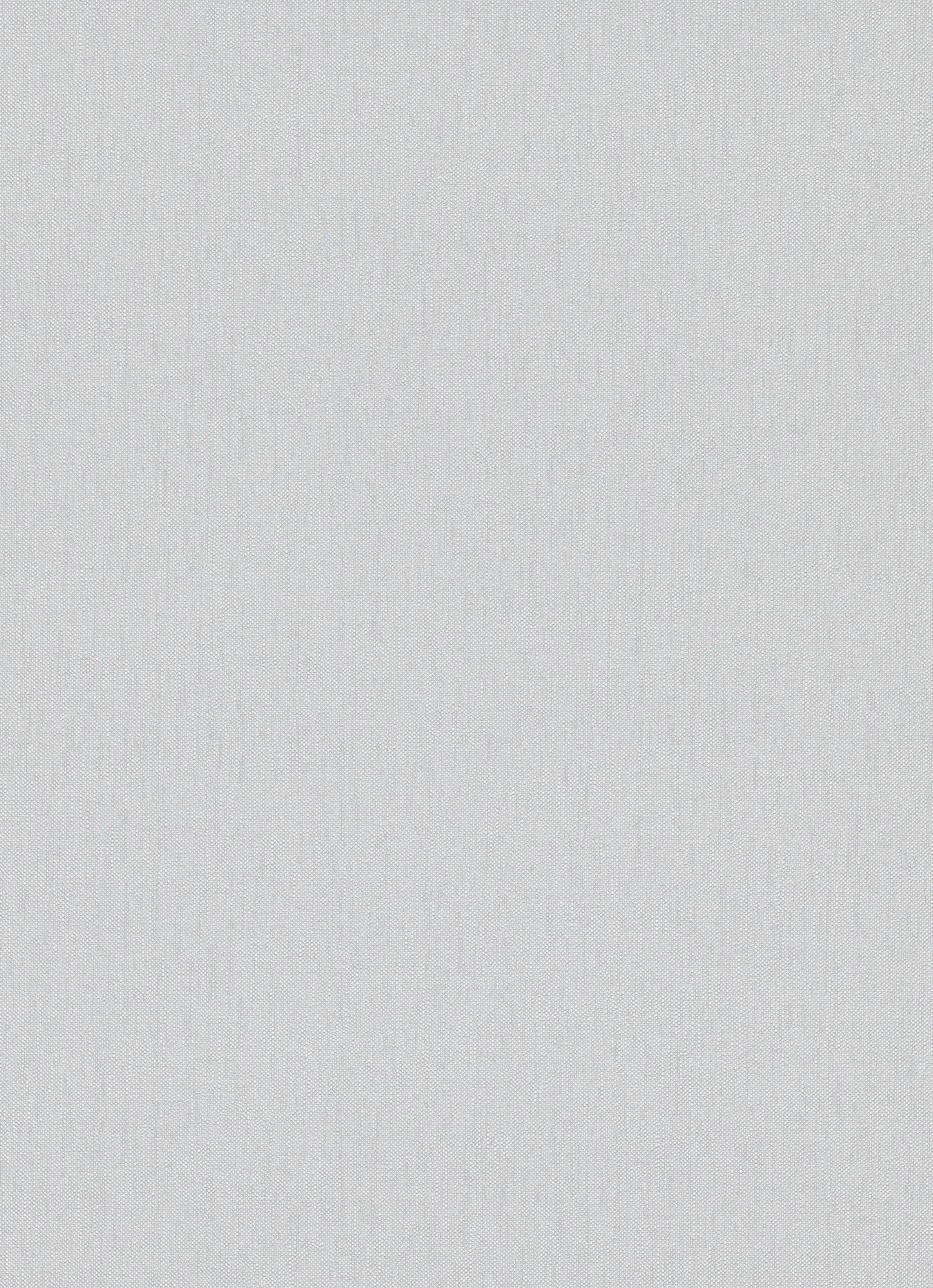 Erismann Vliestapete Uni grau 10,05 x 0,53 m