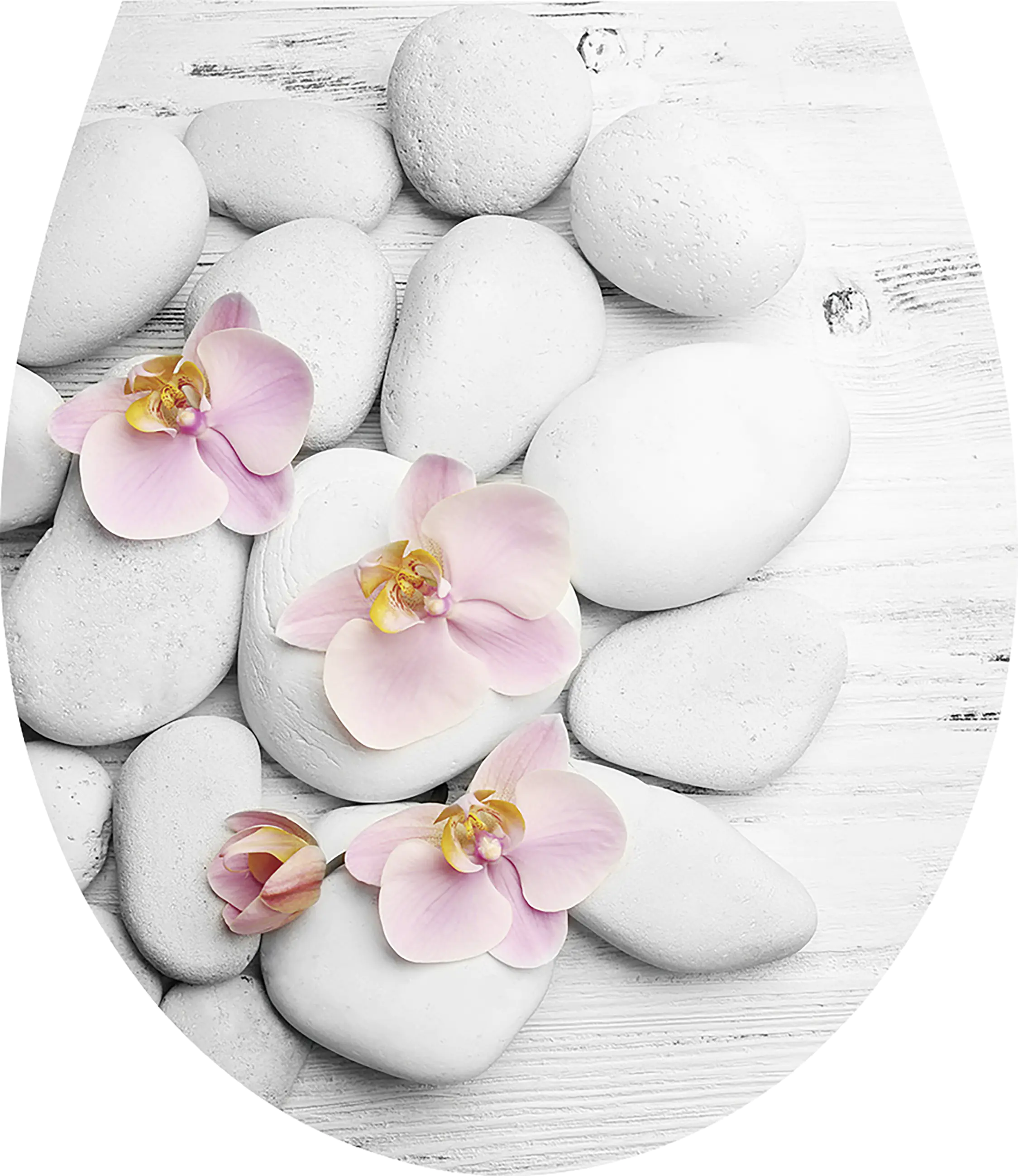 Duschwell Duroplast WC-Sitz Stein & Orchidee Duschwell Duroplast WC-Sitz Stein & Orchidee