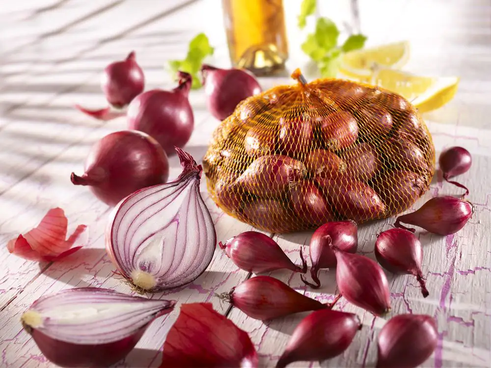 Kiepenkerl Pflanzzwiebeln Rote Steckzwiebeln Allium cepa, Inhalt: 250 g