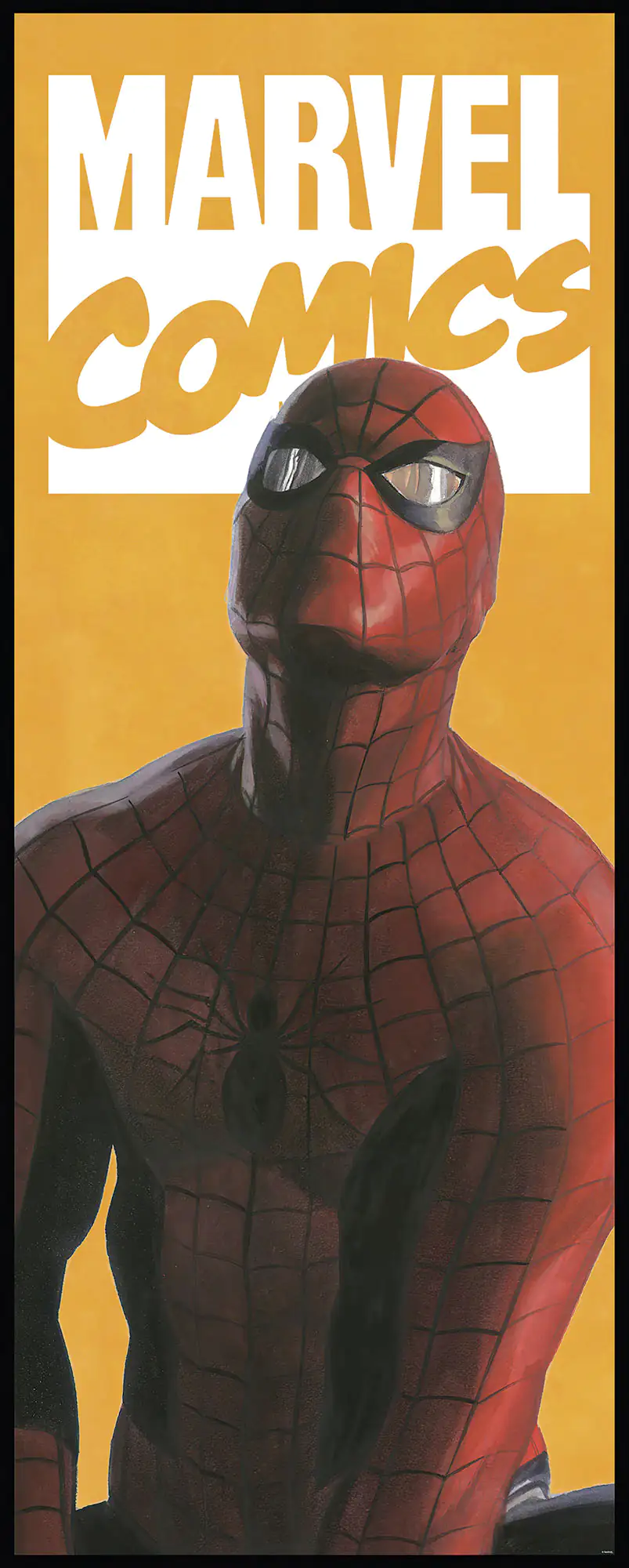 4055065410703 Komar Vlies Fototapete Spider-Man Comic 100 x 250 cm