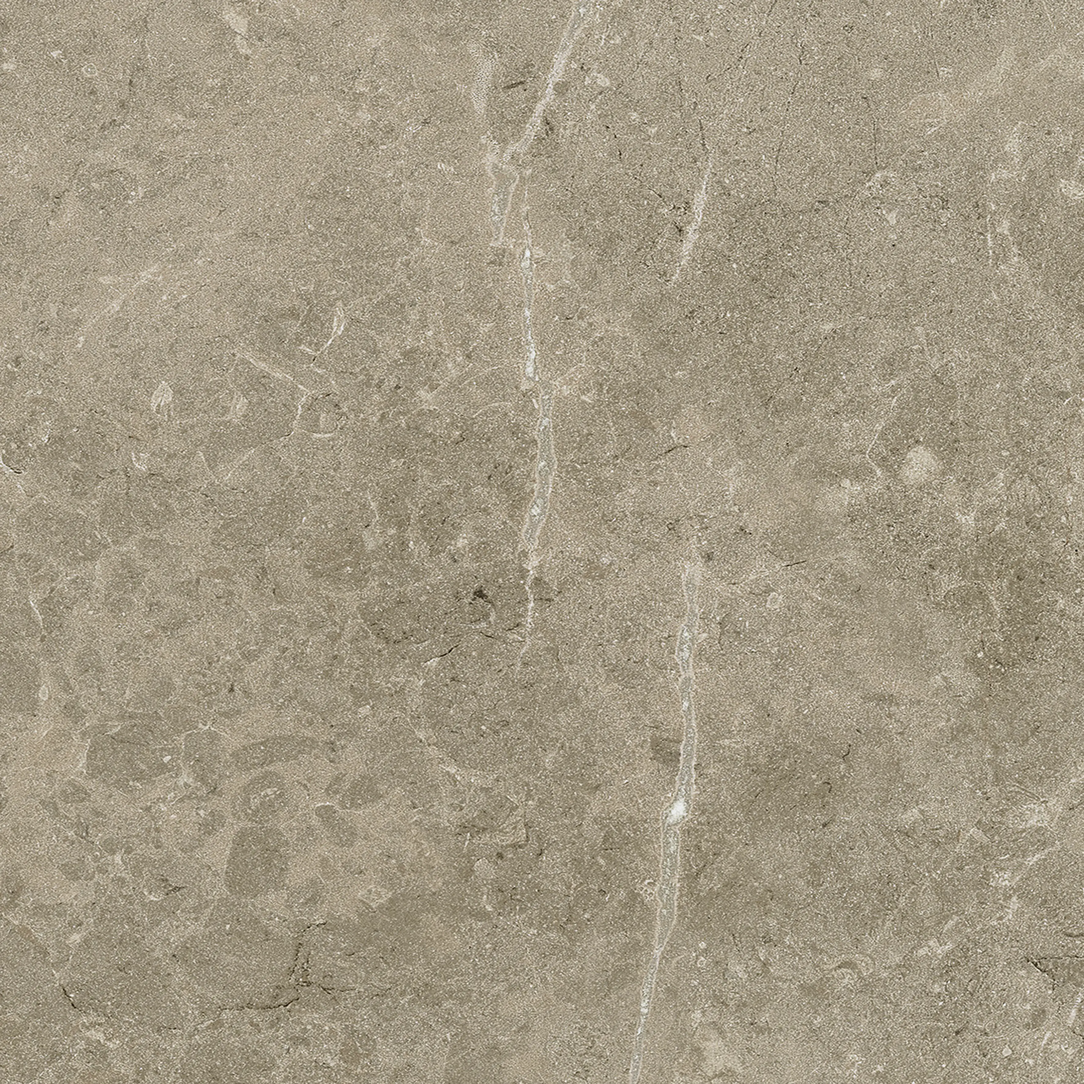 Terrassenplatte Botticino 60 x 60 cm Taupe Terrassenplatte Botticino 60 x 60 cm Taupe