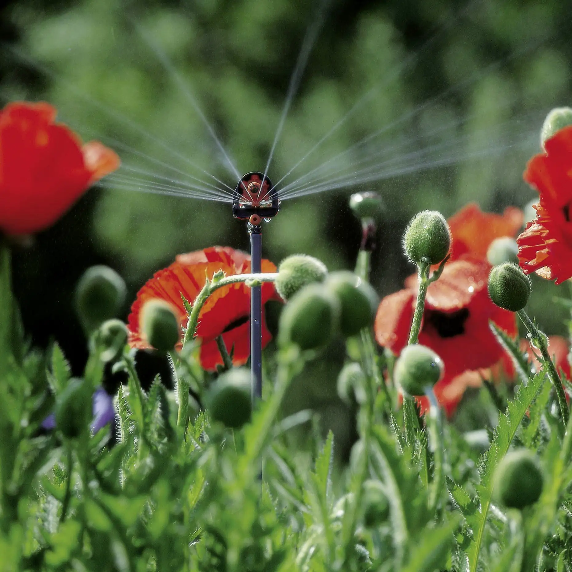 Gardena 6 Flächen Sprühdüse 2 Stück