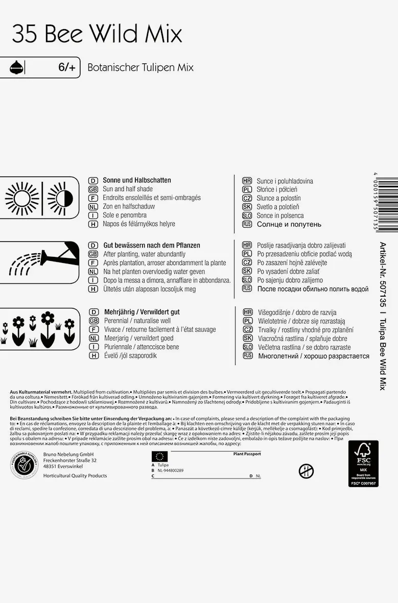 Kiepenkerl Colour Symphony Bee Wild Mix Tulipa x Hybrida