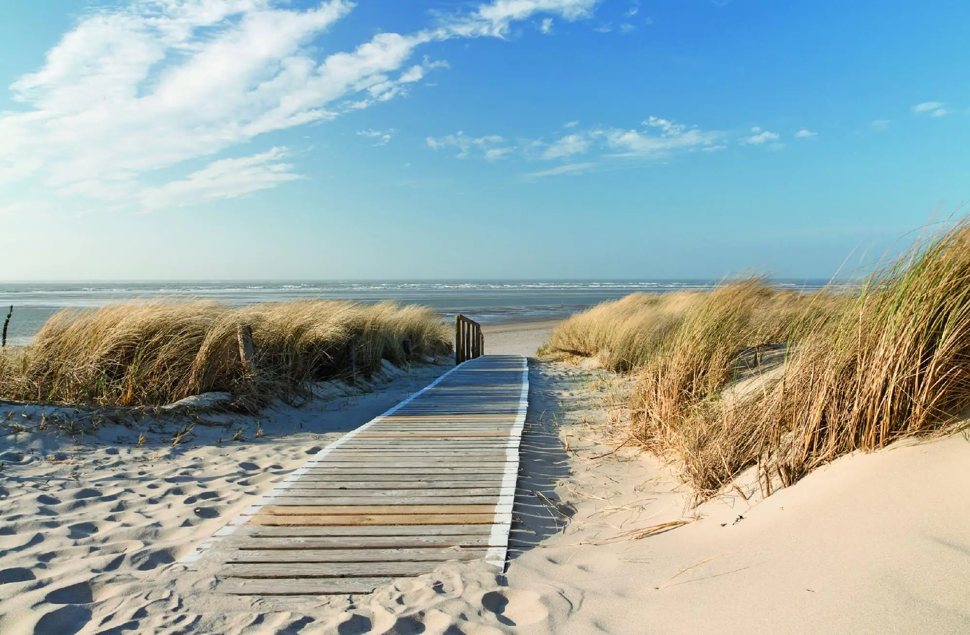 Deco-Canvas Bild - Sea Breeze 116 x 76 cm Deco-Canvas Bild - Sea Breeze 116 x 76 cm