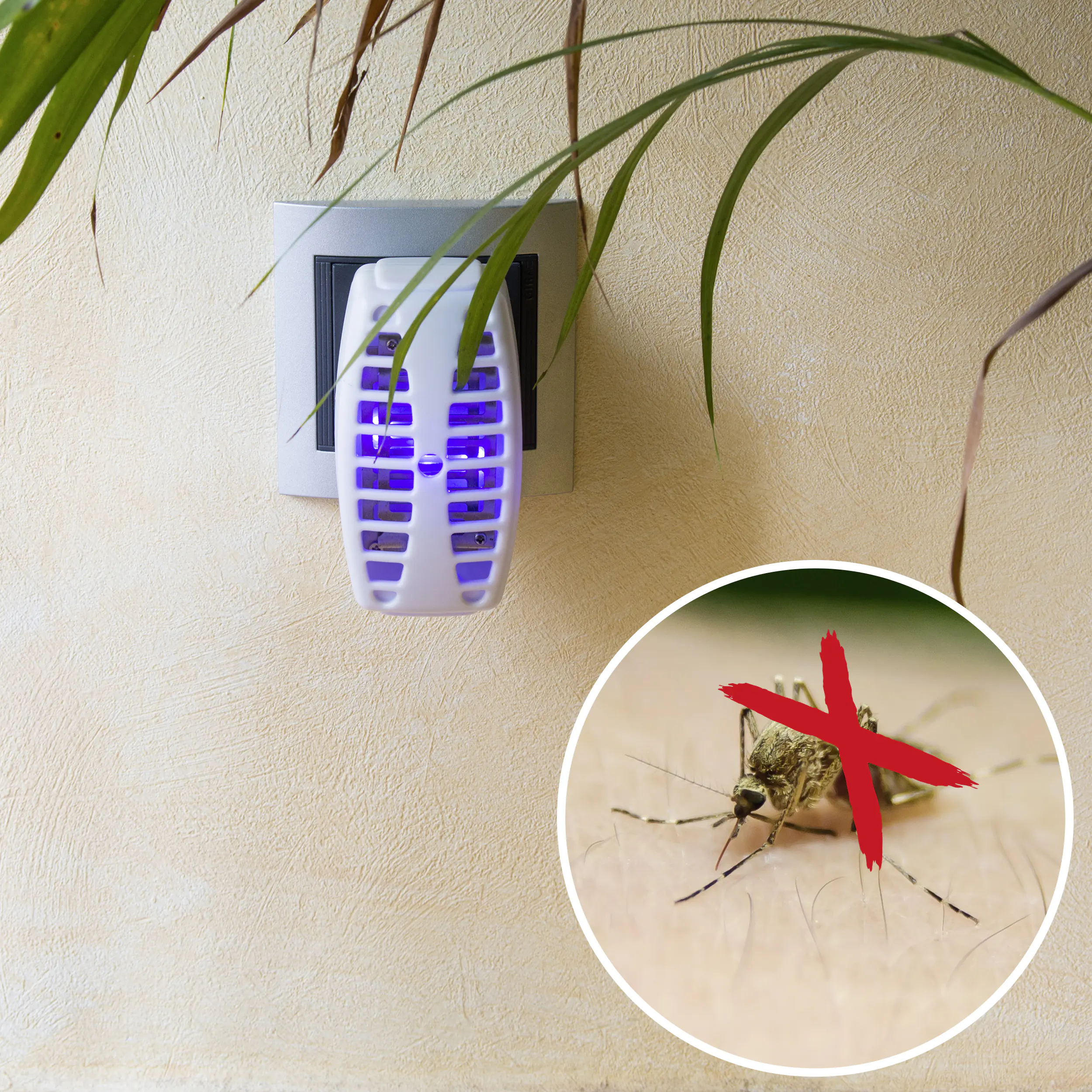 Gardigo Mücken Vernichter