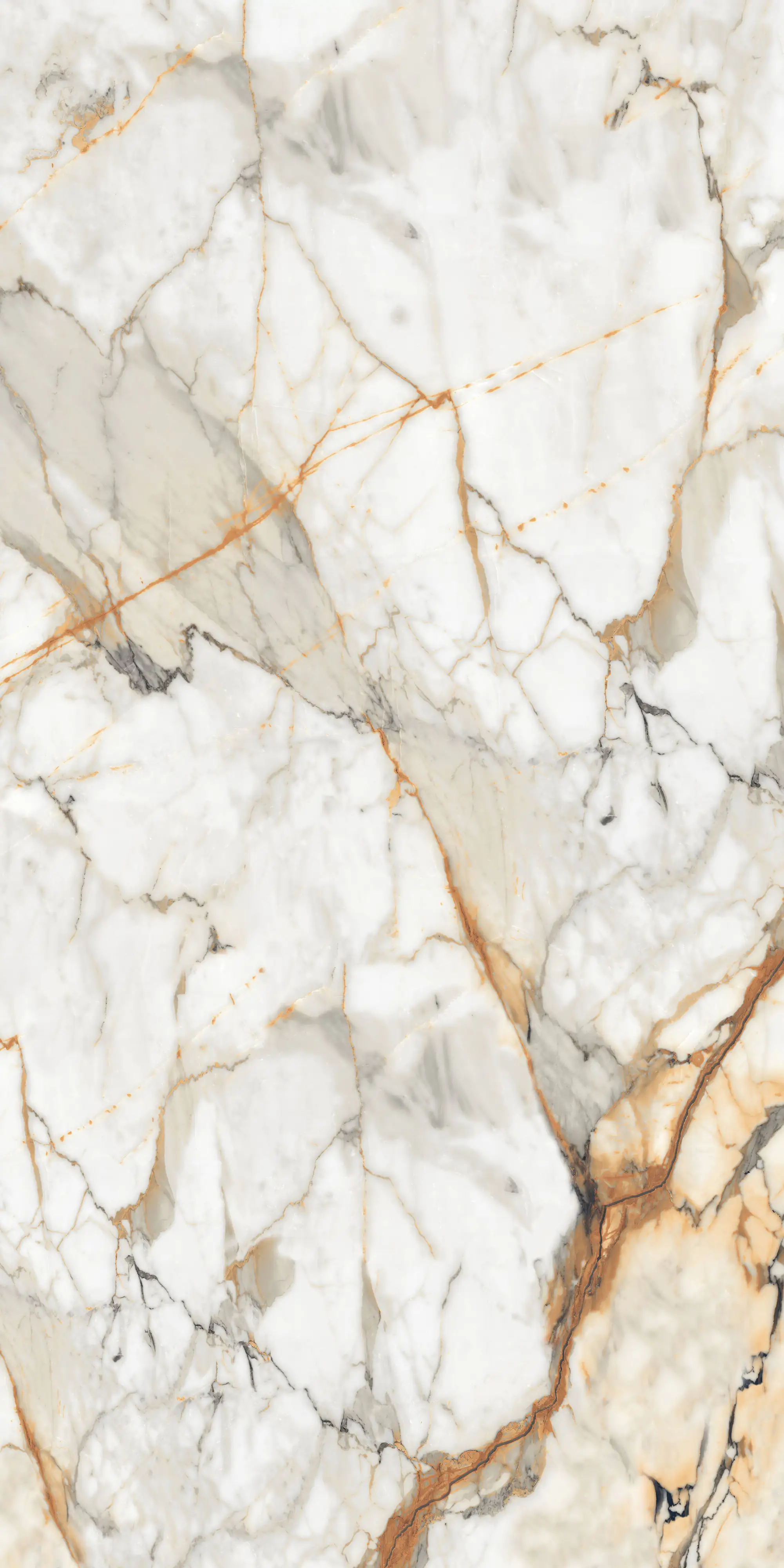 Bodenfliese Feinsteinzeug Visage Gold Plus 120 x 240 cm weiß Bodenfliese Feinsteinzeug Visage Gold Plus 120 x 240 cm weiß