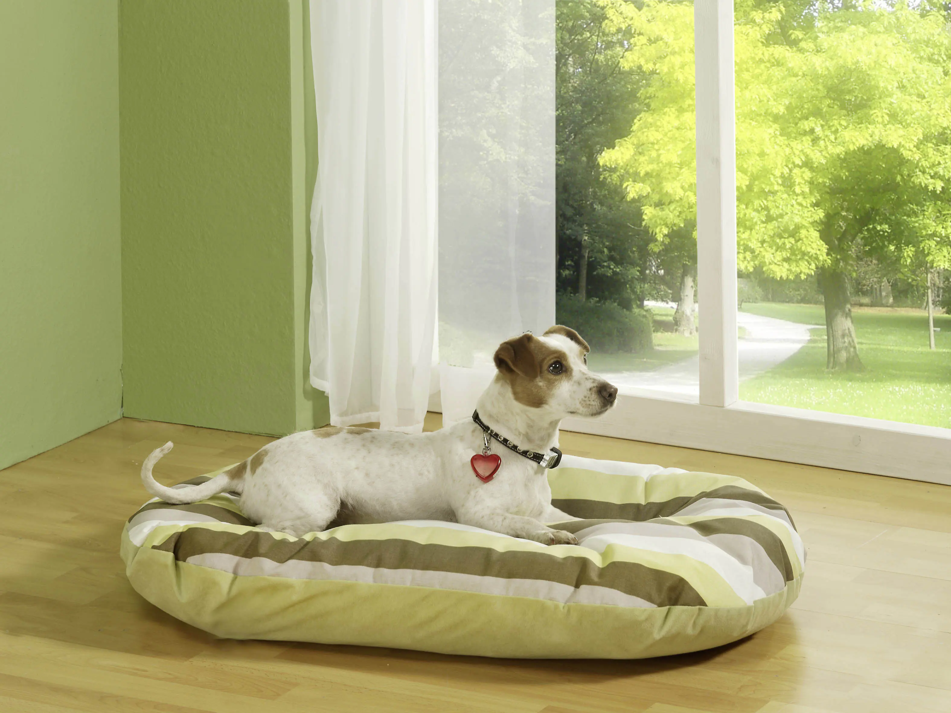 Aumüller Kuschelkissen oval L 55 x B 40 x H 10 cm gestreift