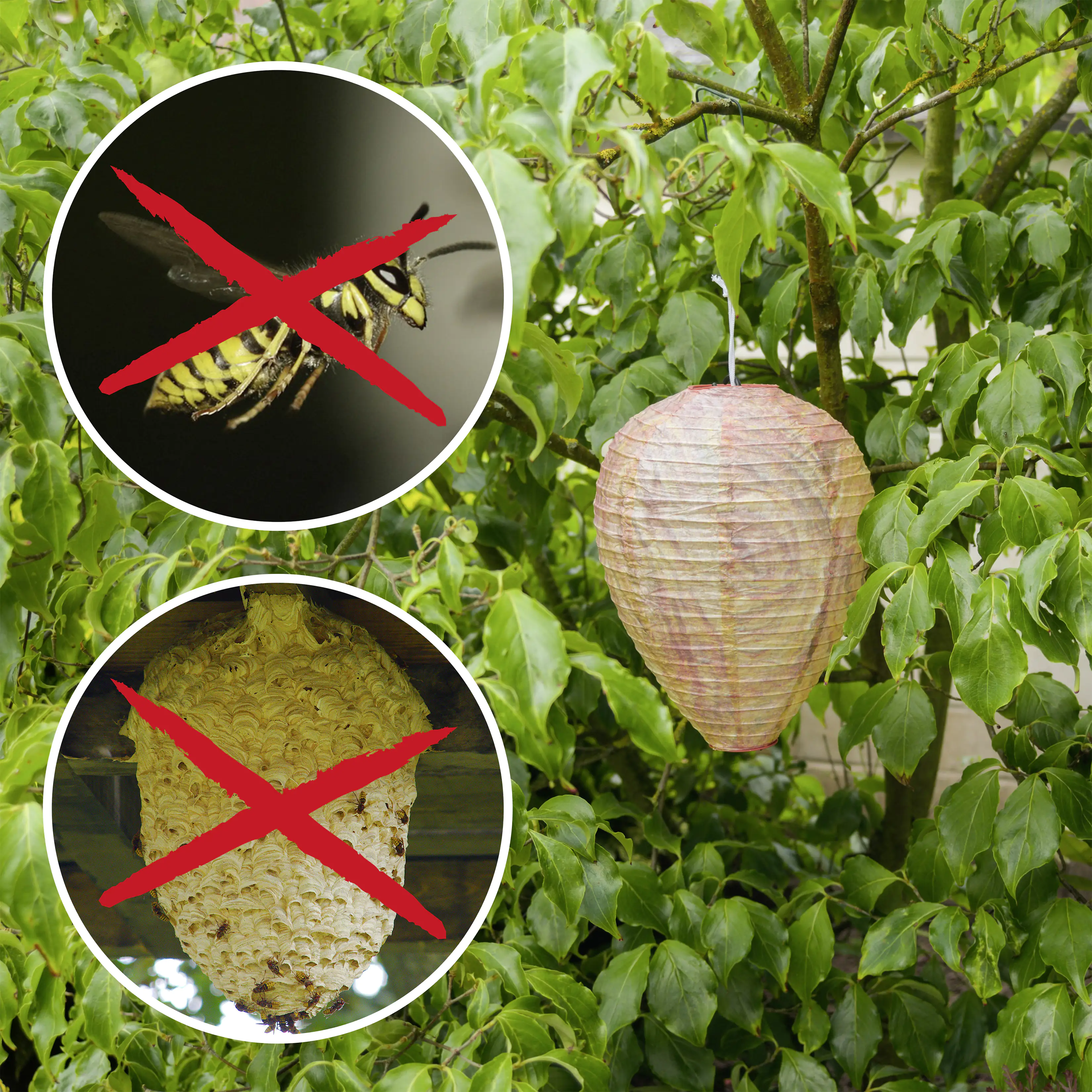 Gardigo Wespennest 2er-Set