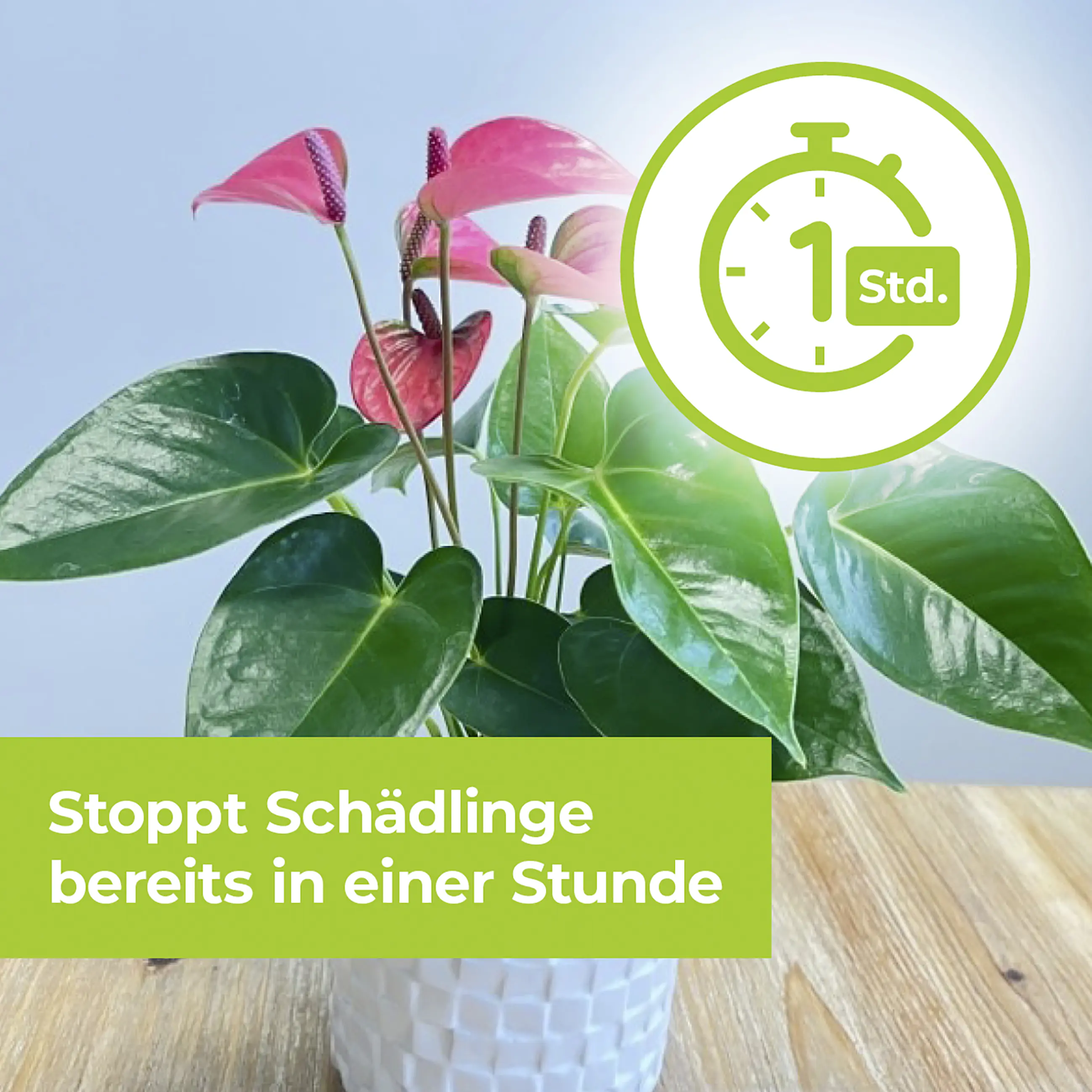 Protect Garden Lizetan Plus Schädlingsfrei 2 x 4 ml