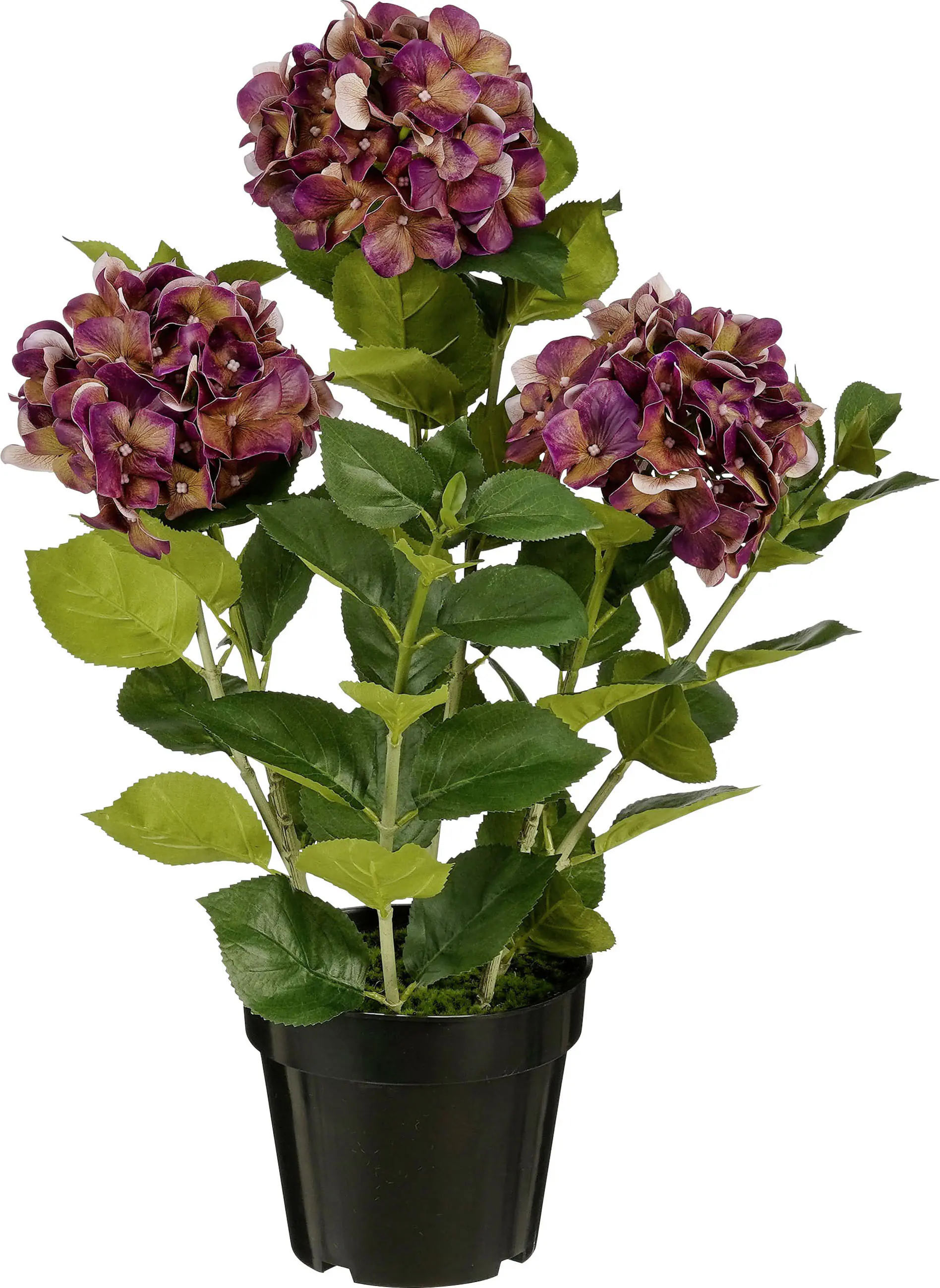 Mica Decorations Kunstpflanze Hortensie im Topf violett Ø 40 x 65 cm