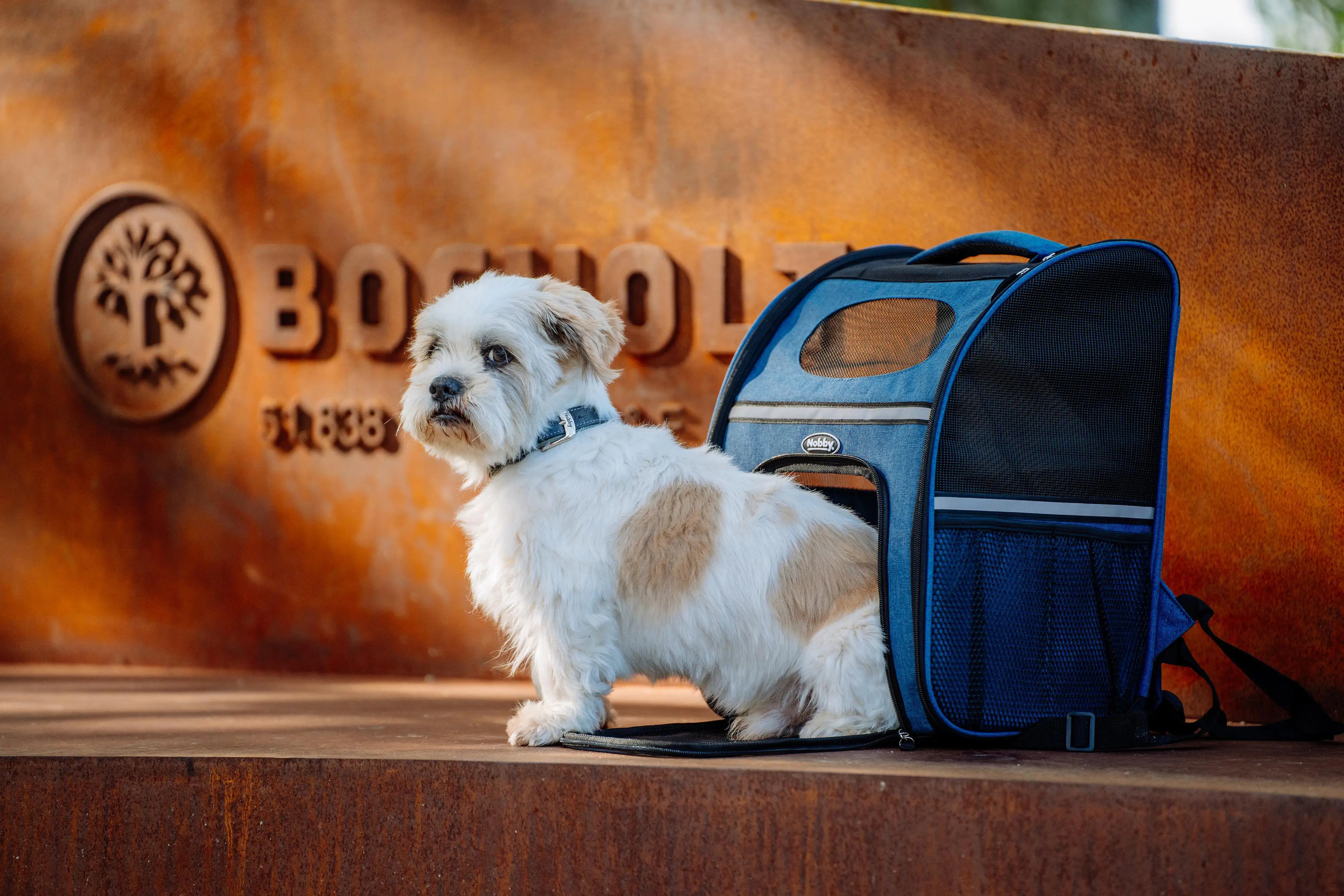 Nobby Tragerucksack Rana blau