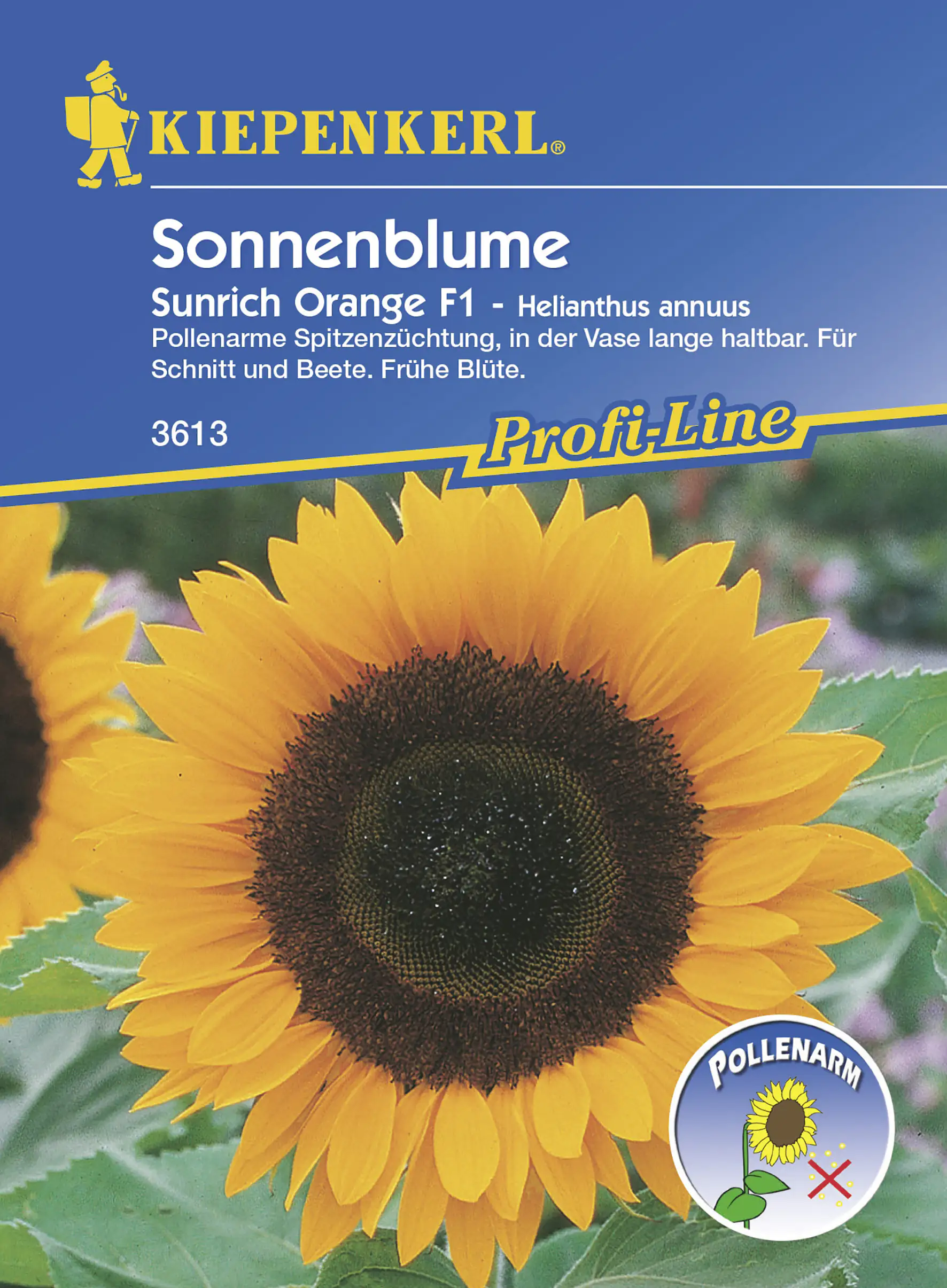Kiepenkerl Sonnenblume Sunrich Orange F1 Inhalt reicht für ca. 25 Pflanzen