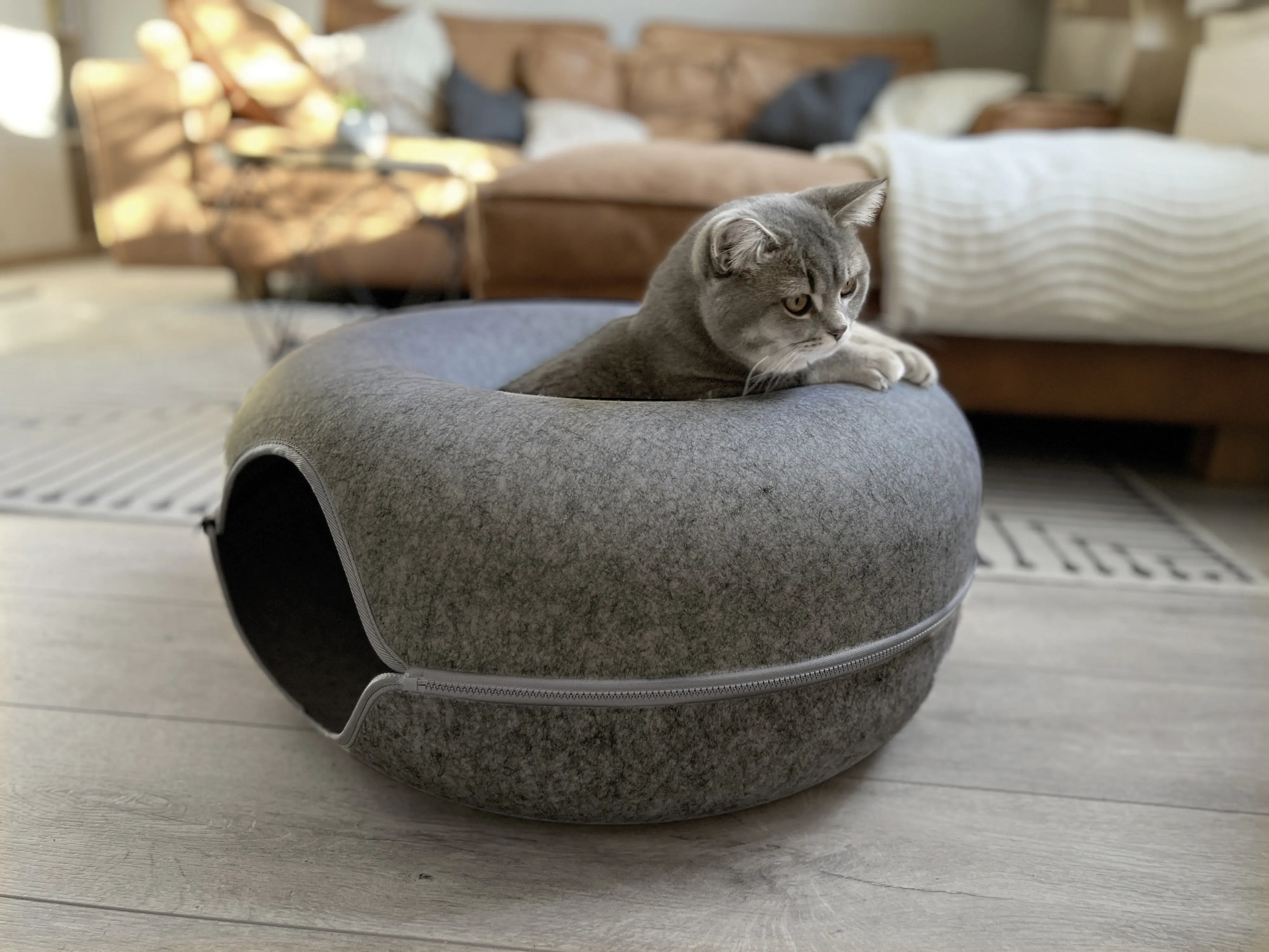 Aumüller Katzentunnel Donut Katzenhöhle dunkelgrau Filz mit Reißverschluss 60 x 60 x 30 cm