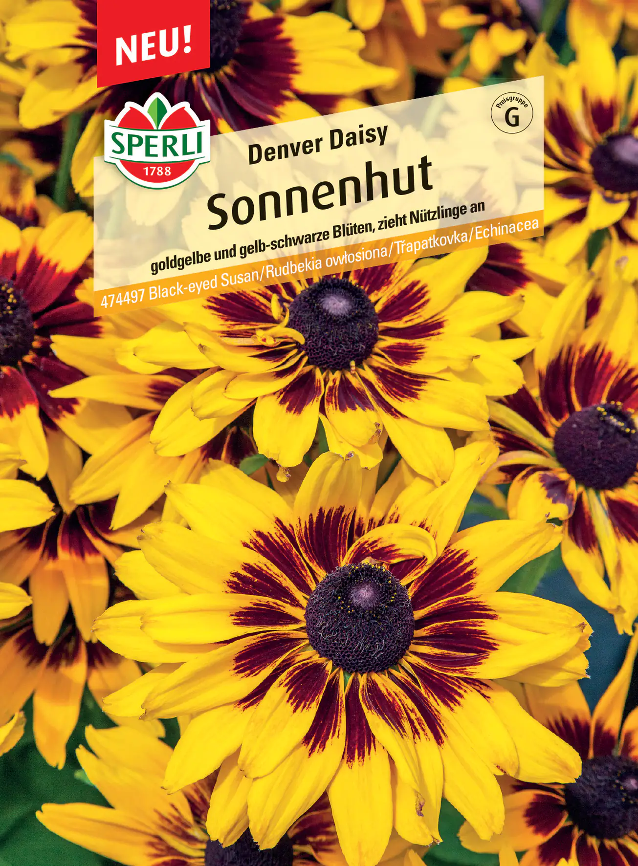 Sperli Sonnenhut Denver Daisy