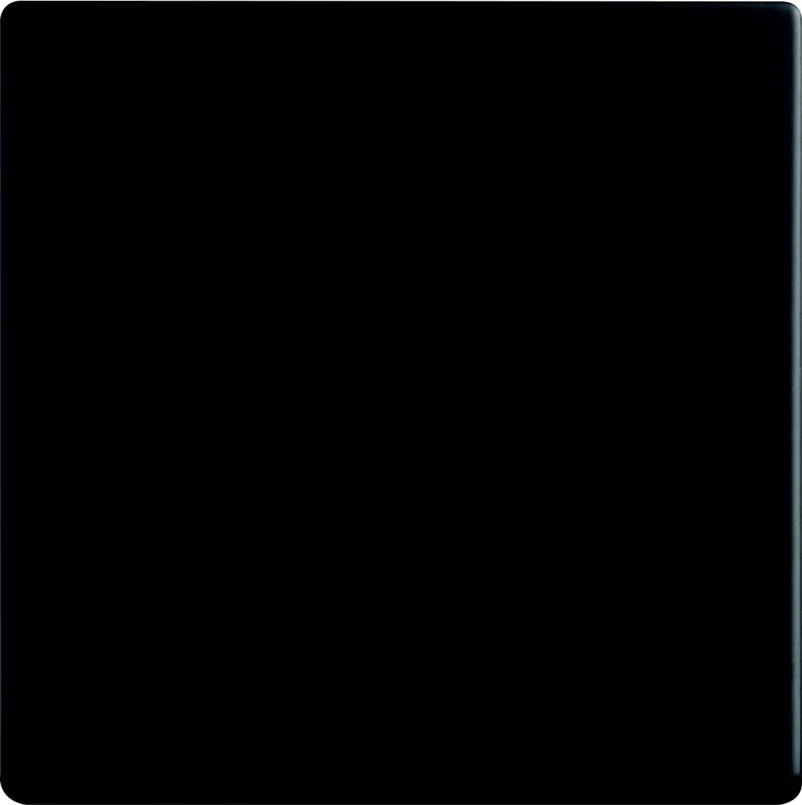 Busch Jaeger Serien-Wippe 1-fach für Schalter/Taster Future Linear schwarz matt 1786-885