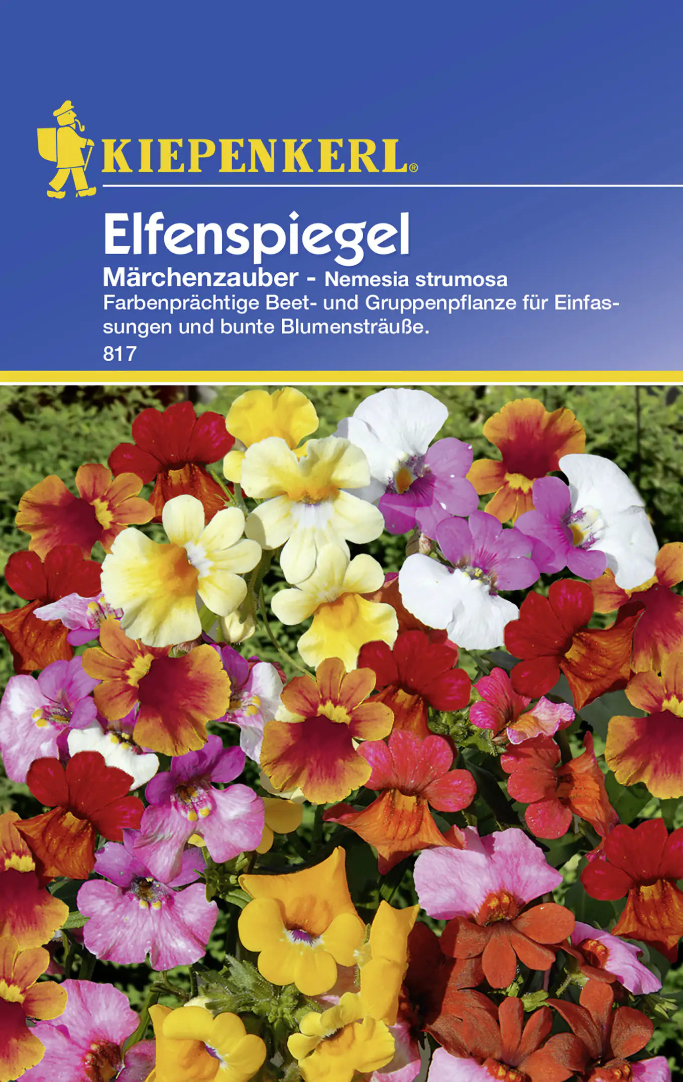 Kiepenkerl Elfenspiegel Märchenzauber Nemesia strumosa, Inhalt: ca. 75 Pflanzen