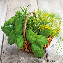 Deco-Glas Bild - Gartenkräuter 30 x 30 cm