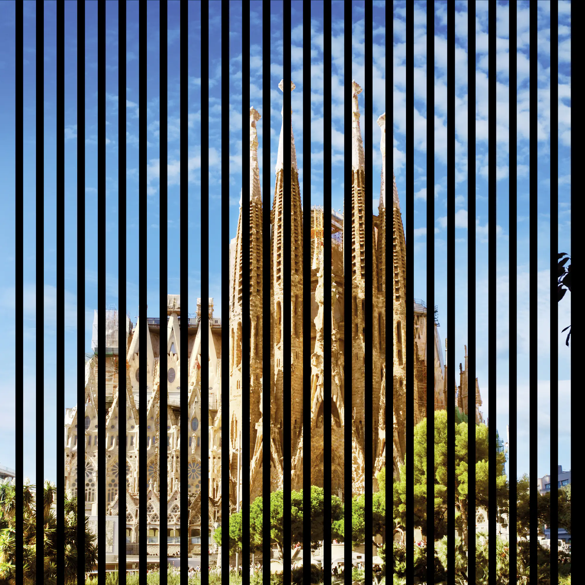 Neuhofer Akustikpaneele Barcelona 119,5 x 113,3 x 1,9 cm