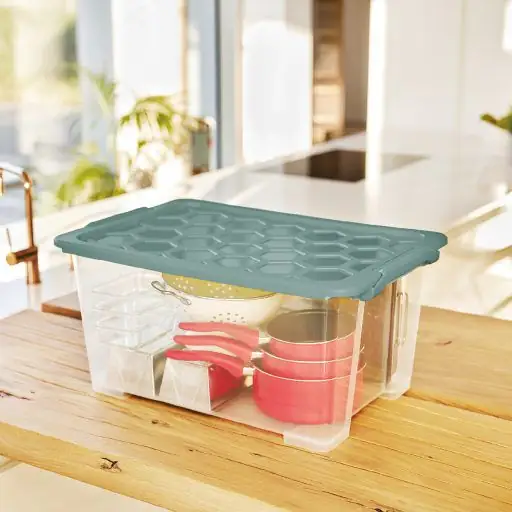 Rotho Aufbewahrungsbox EVO Safe inkl. Deckel 44 L Mistletoe grün Rotho Aufbewahrungsbox EVO Safe inkl. Deckel 44 L Mistletoe grün