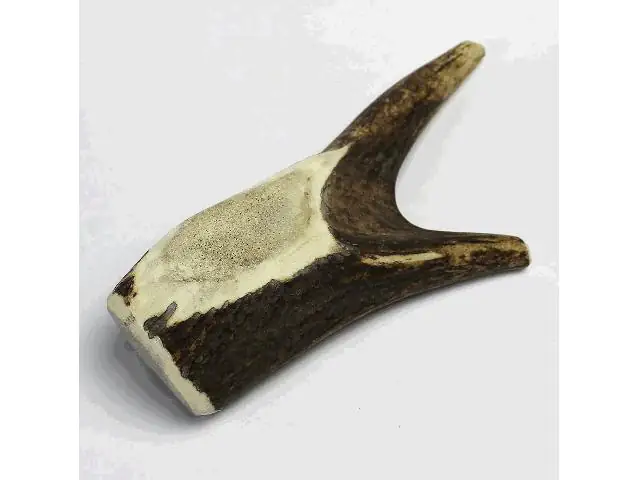 Larsson Geweih Full-Chew L