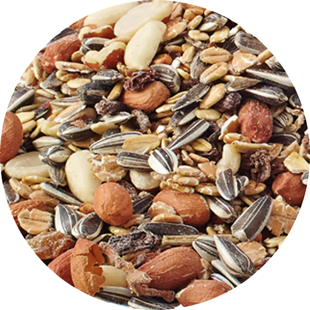 Elles Wildvogelmix 3 kg Elles Wildvogelmix 3 kg