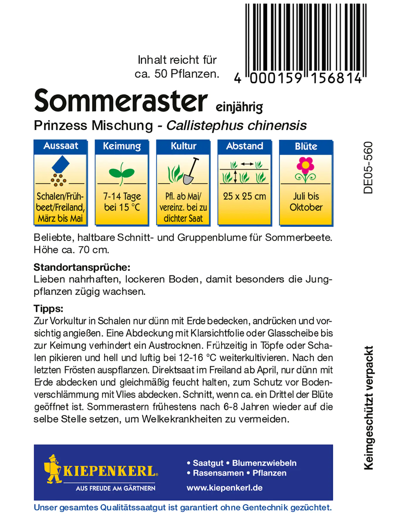 Kiepenkerl Sommeraster Prinzess Mischung