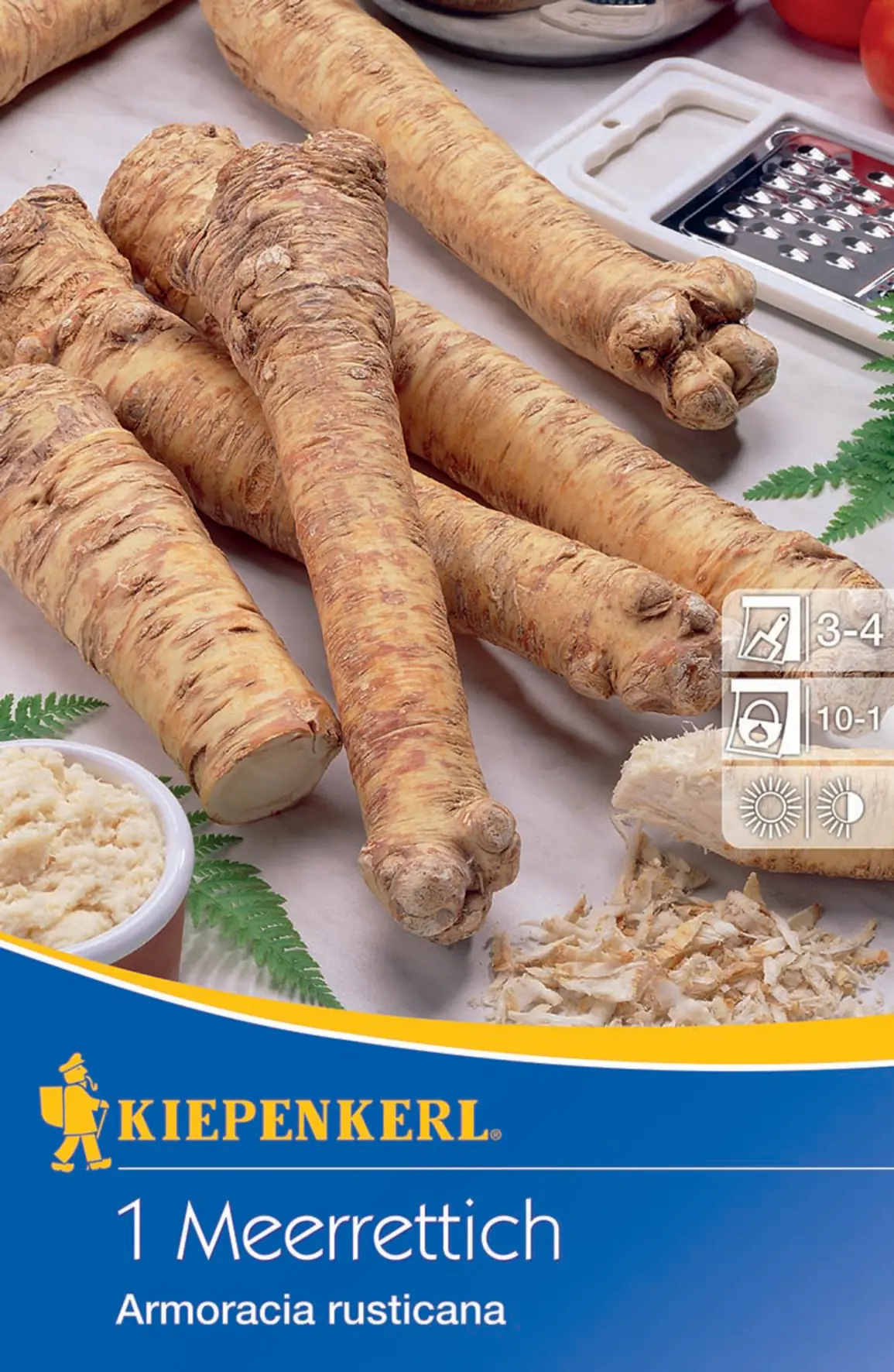 Kiepenkerl Meerrettich Armoracia rusticana