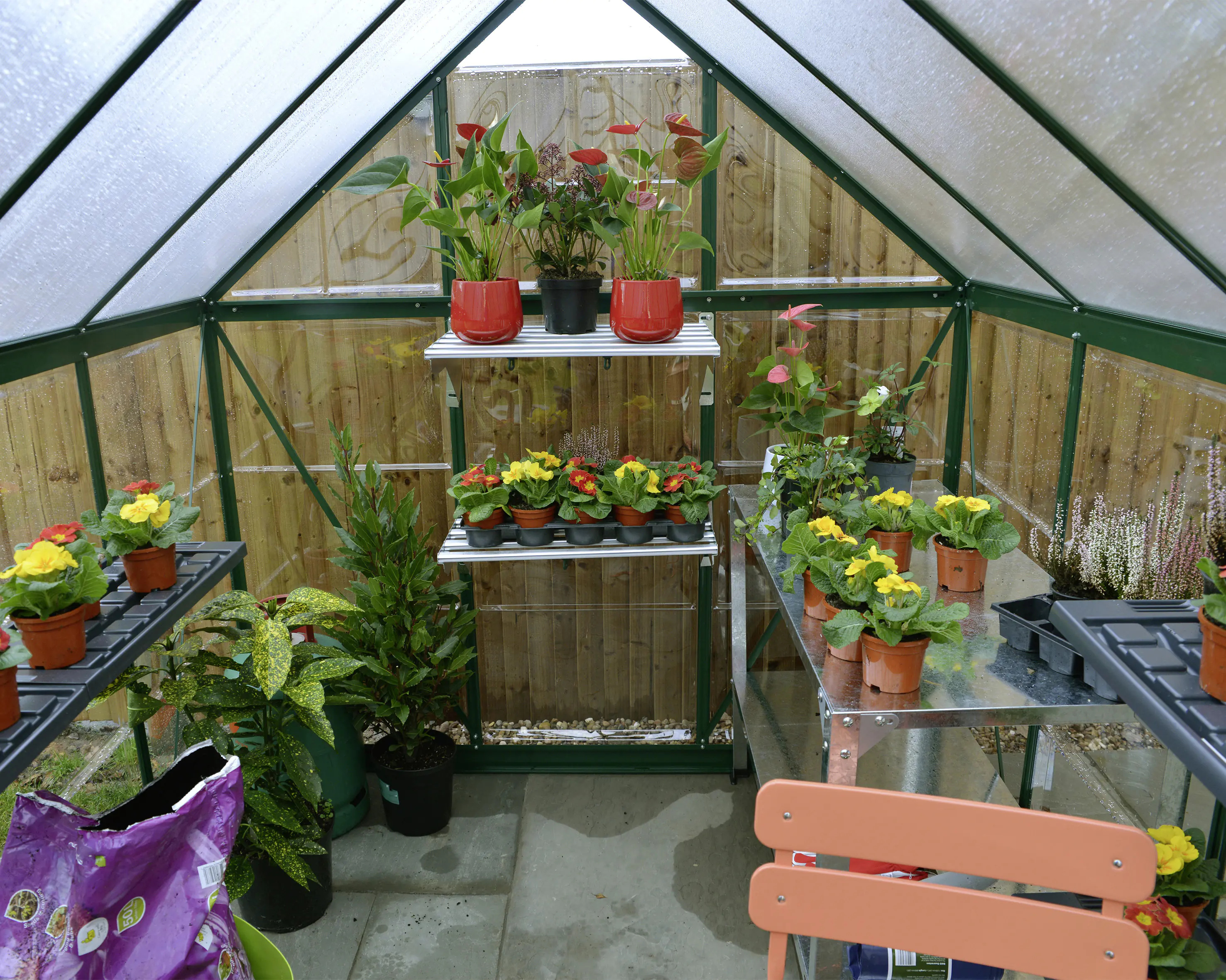 Canopia Gewächshaus Hybrid Alu grün 306 x 185 cm