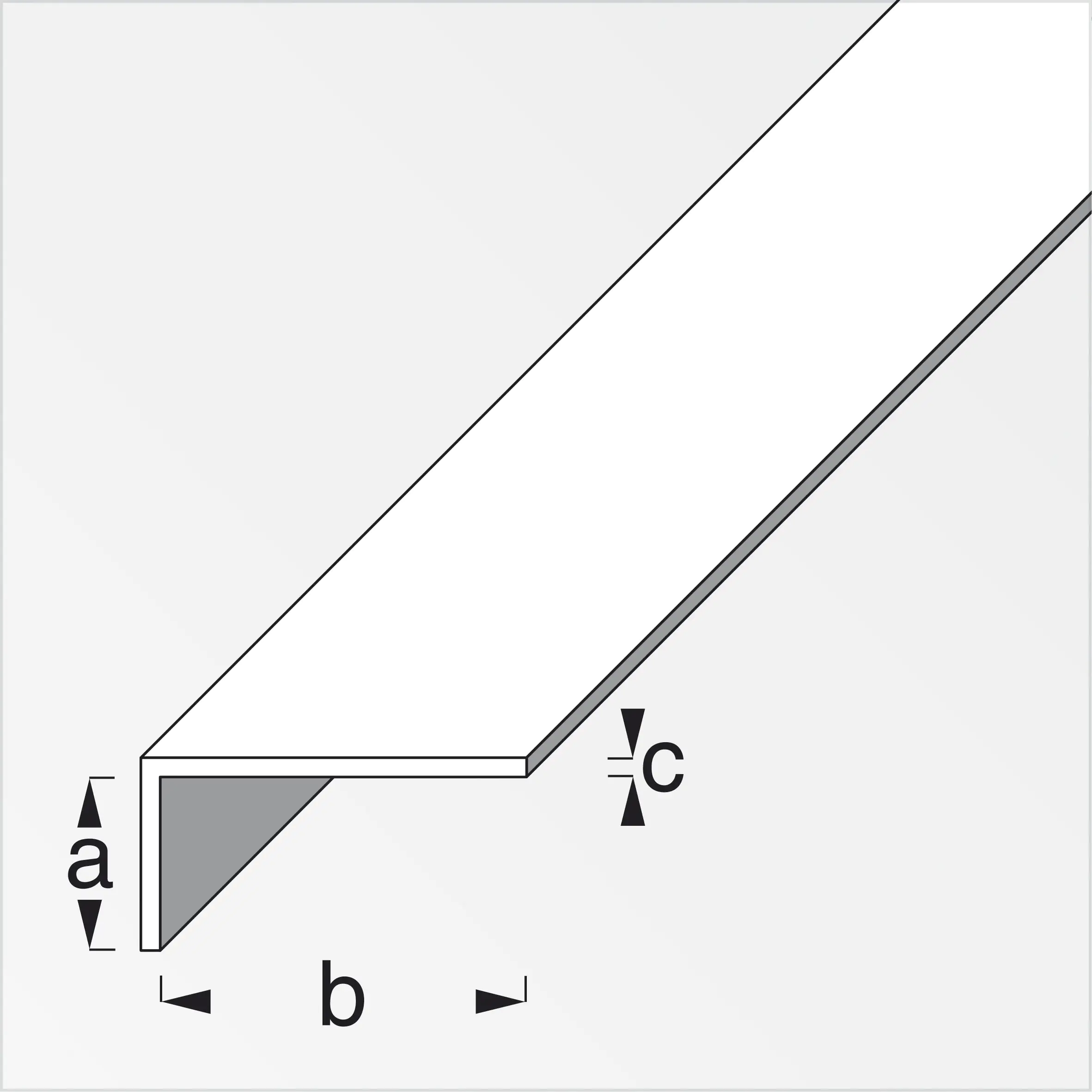alfer Winkel 2 m, 16 x 19 x 1.3 mm, PVC (Kunststoff), glatt, eiche hell
