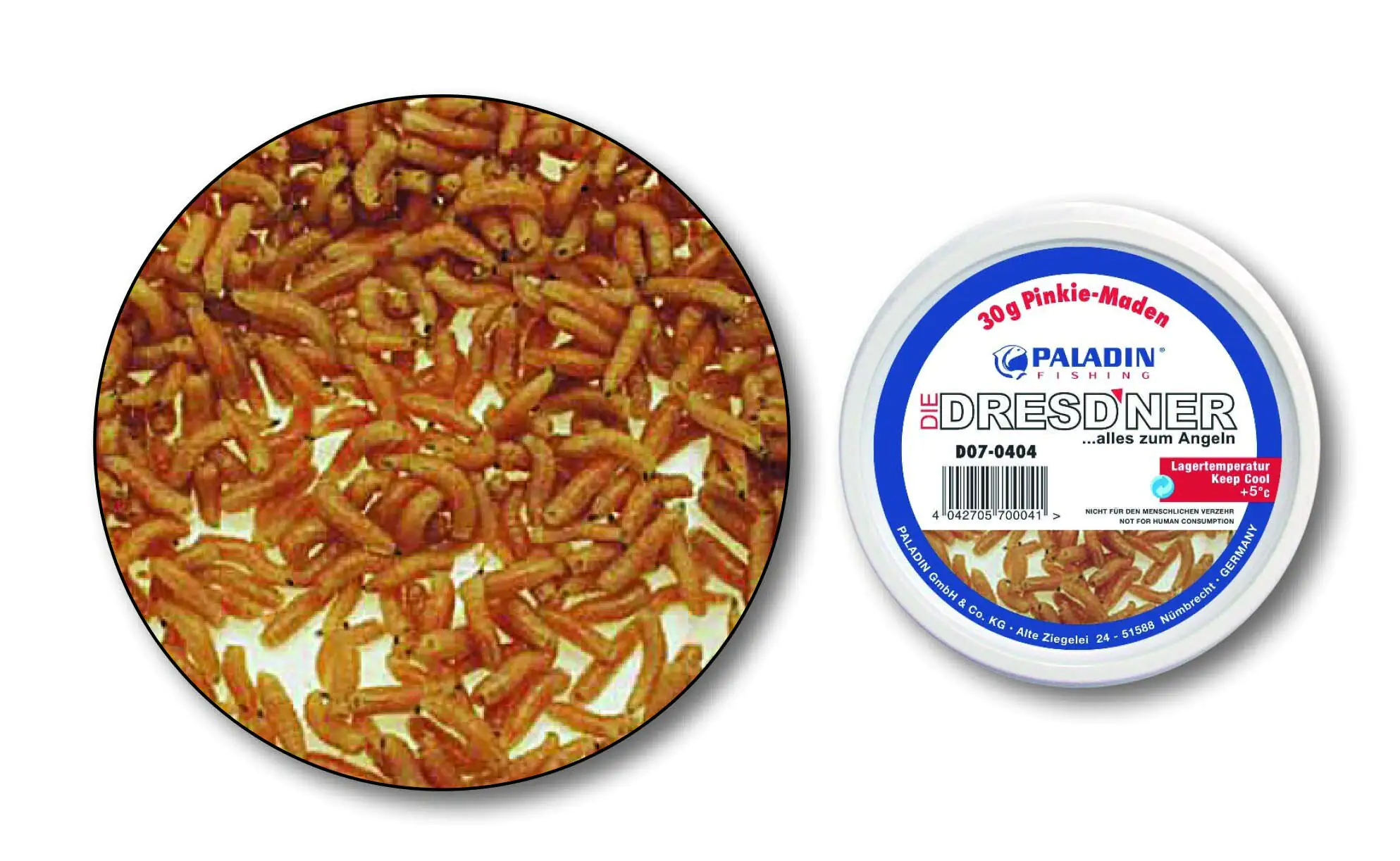 Dresdner Angelköder Pinkie - Maden 125 ml Dose