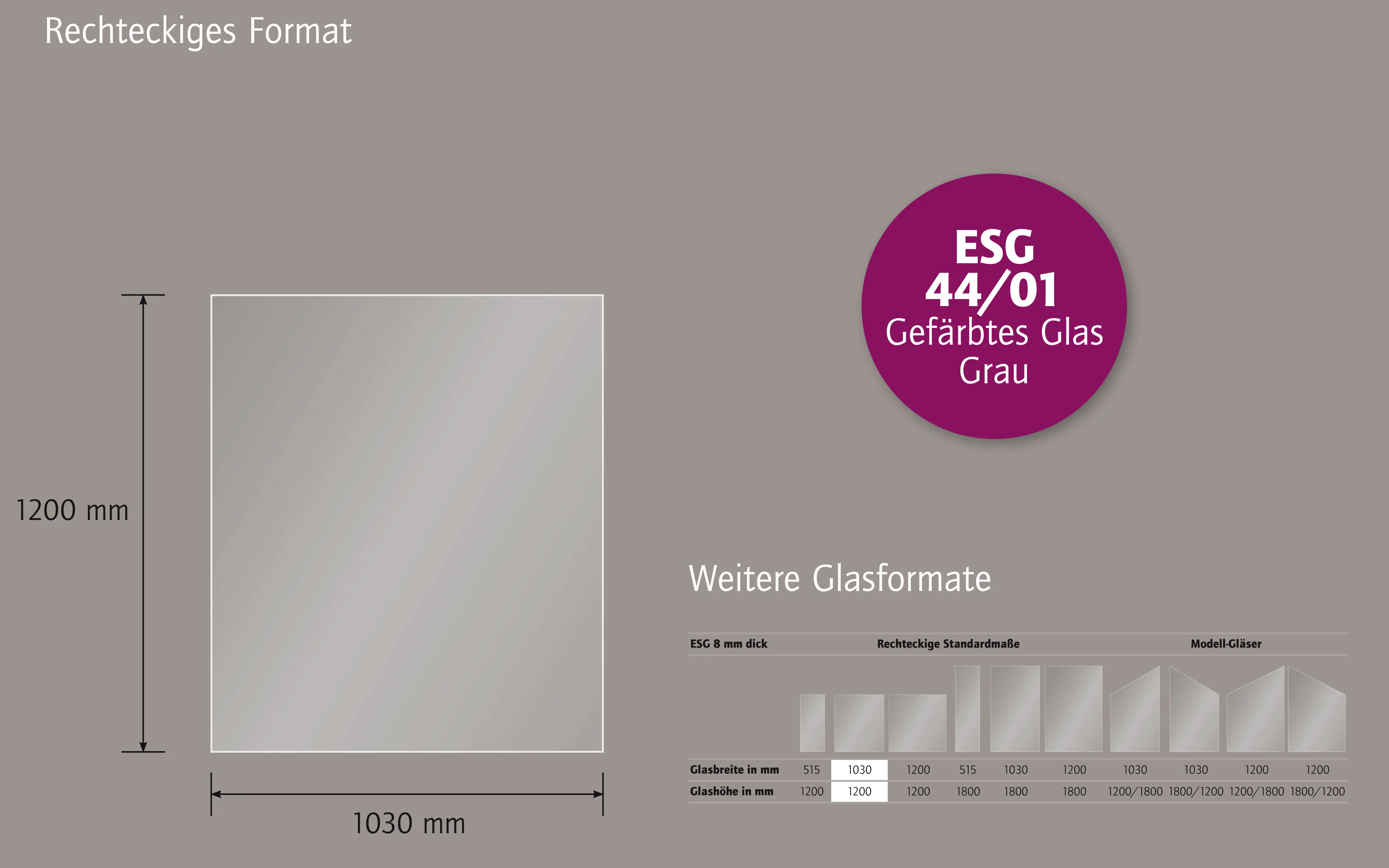 Ambiente Glaszaun B x H: 103 cm x 120 cm, gehärtetes 8 mm Glas Ambiente Glaszaun B x H: 103 cm x 120 cm, gehärtetes 8 mm Glas