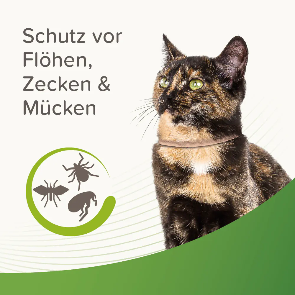 Beaphar Zecken- und Floh-Halsband für Katzen beige 35 cm