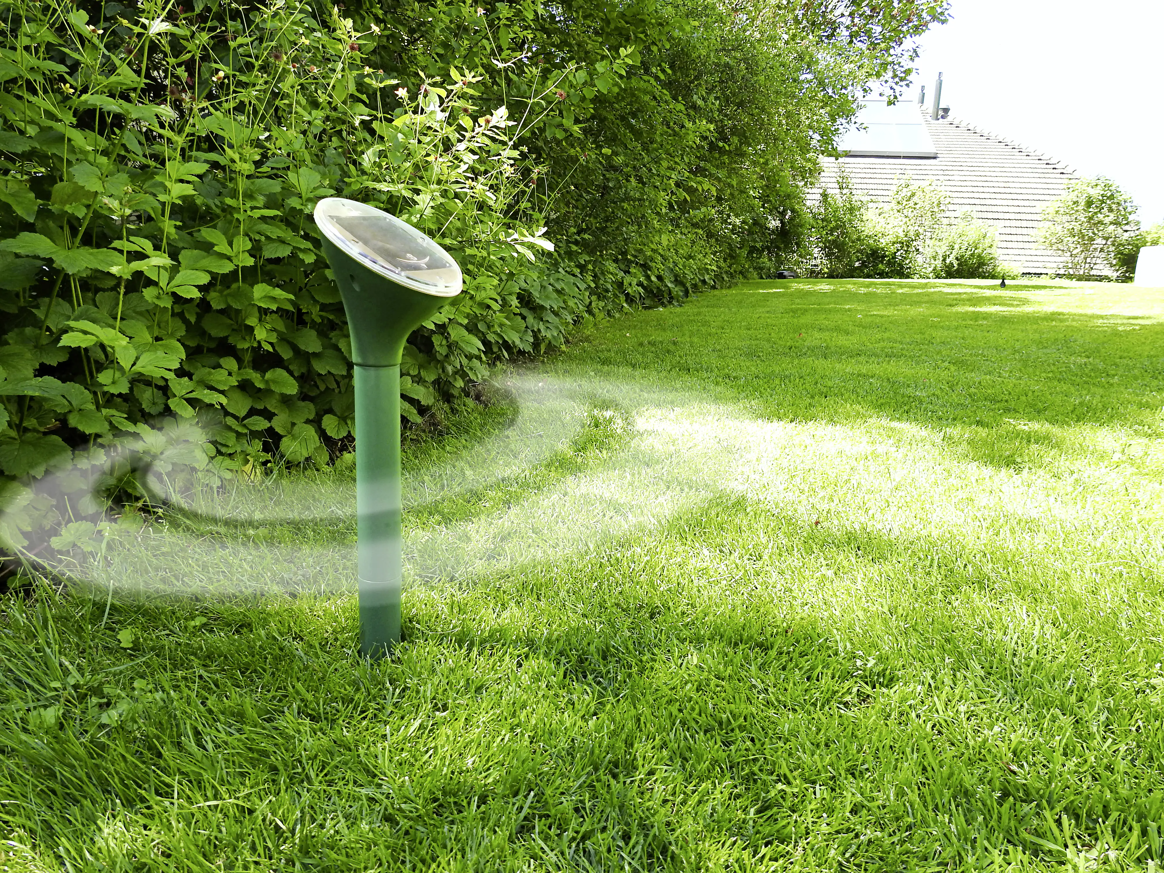 Swissinno Solar Maulwurf-Vertreiber grün