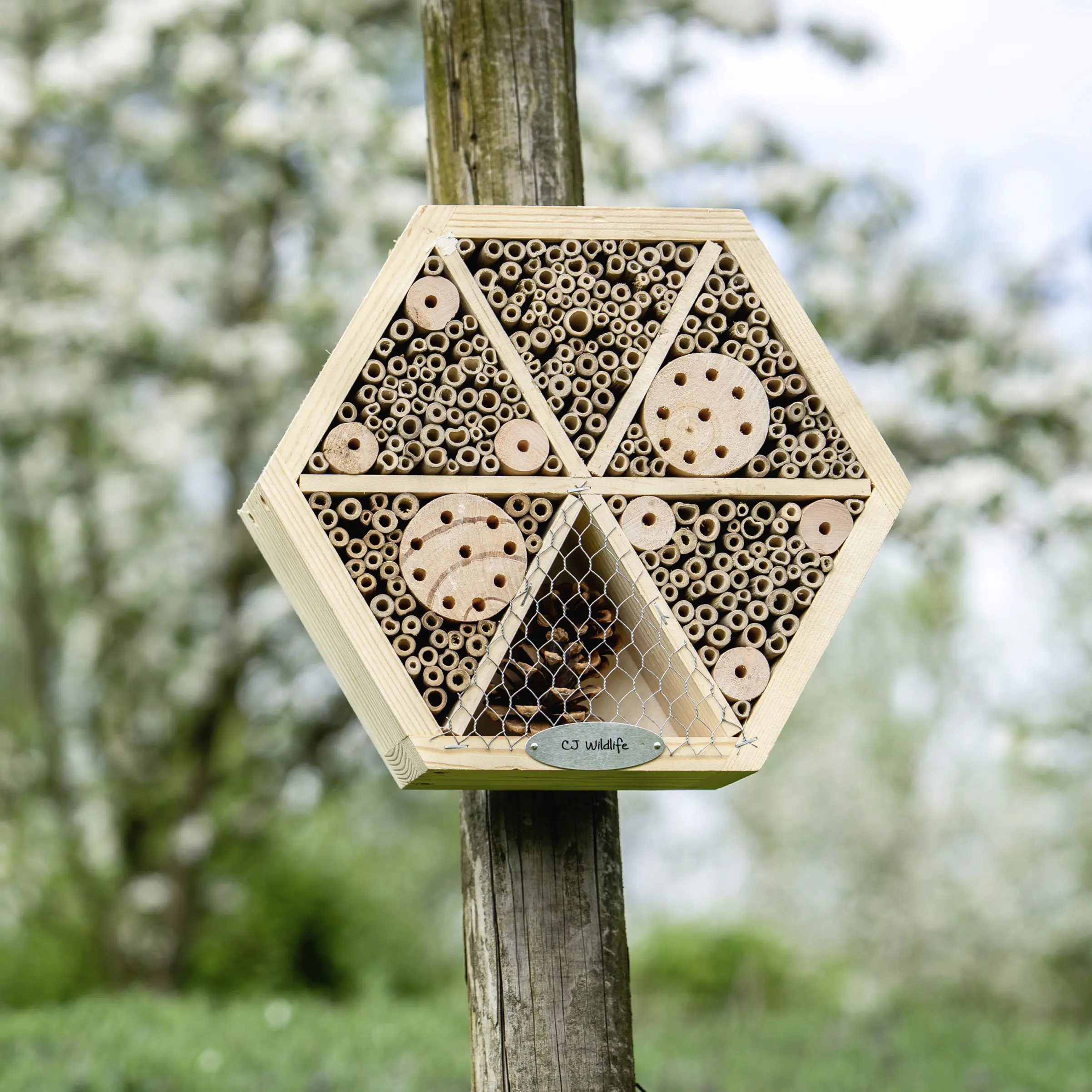 CJ Wildlife Insektenhaus Hexagon natur 8 x 25,1 x 25,1 cm
