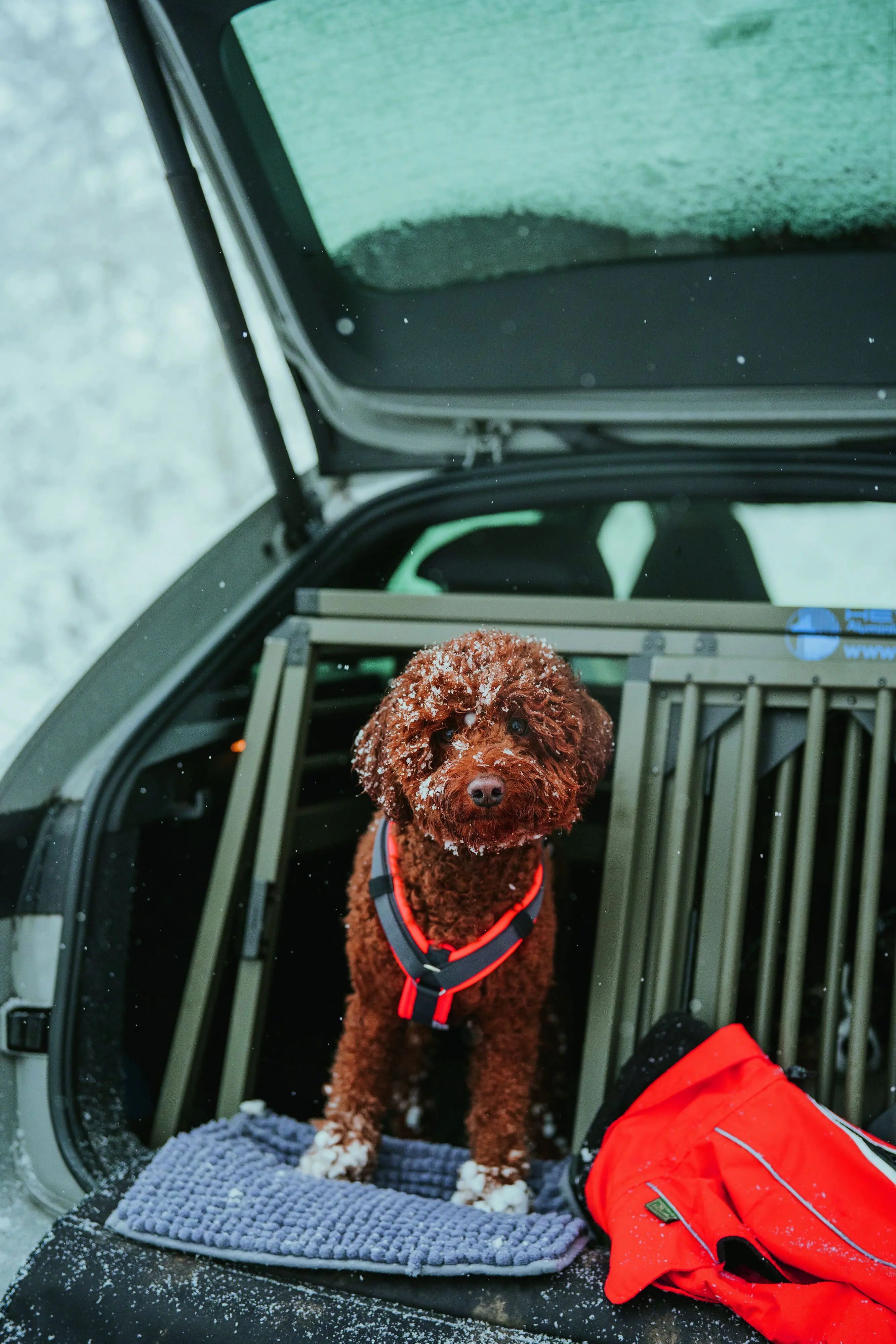 Hunter Hundegeschirr Maldon Up mit Griff S-M orange/grau