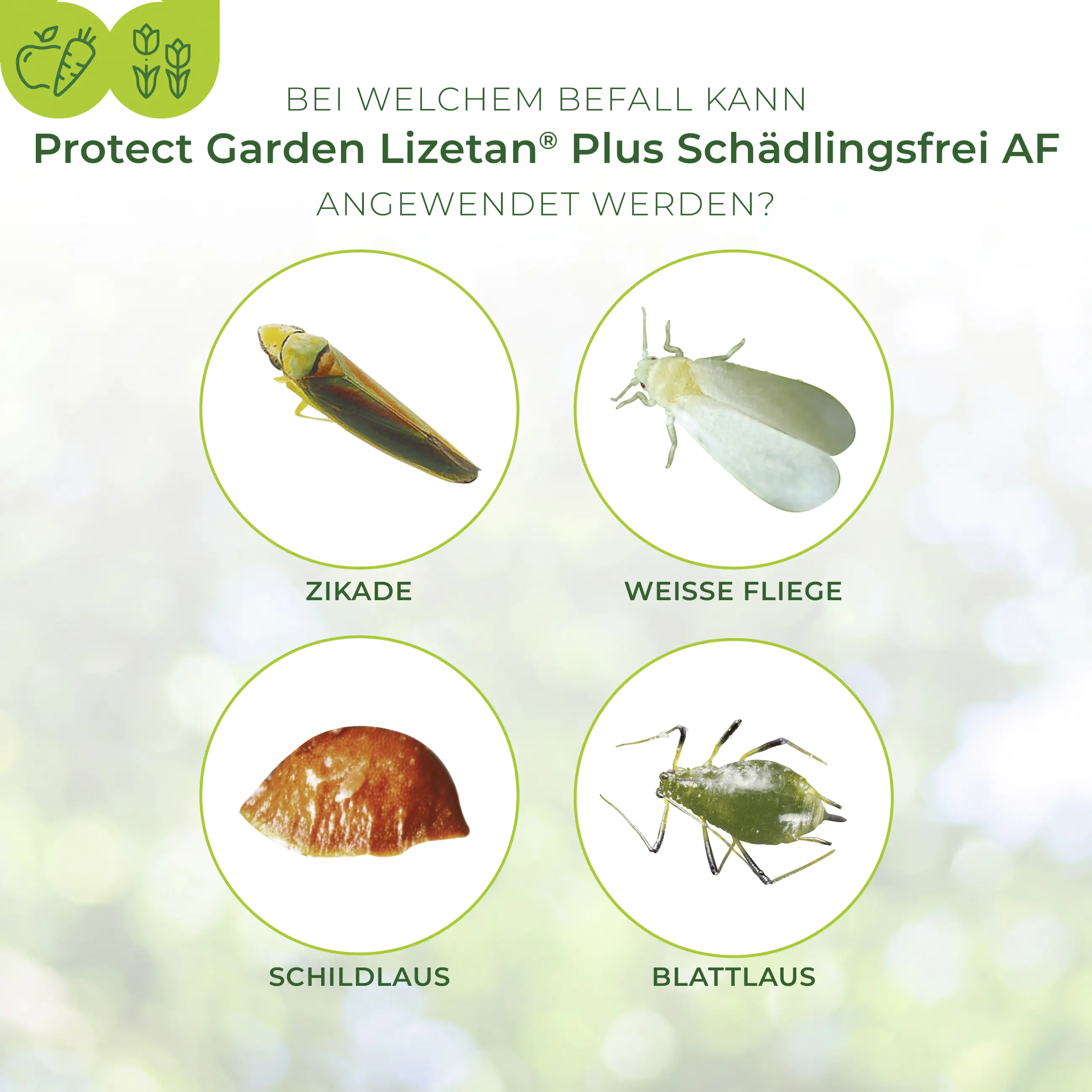 Protect Garden Lizetan Plus Schädlingsfrei AF 3 l