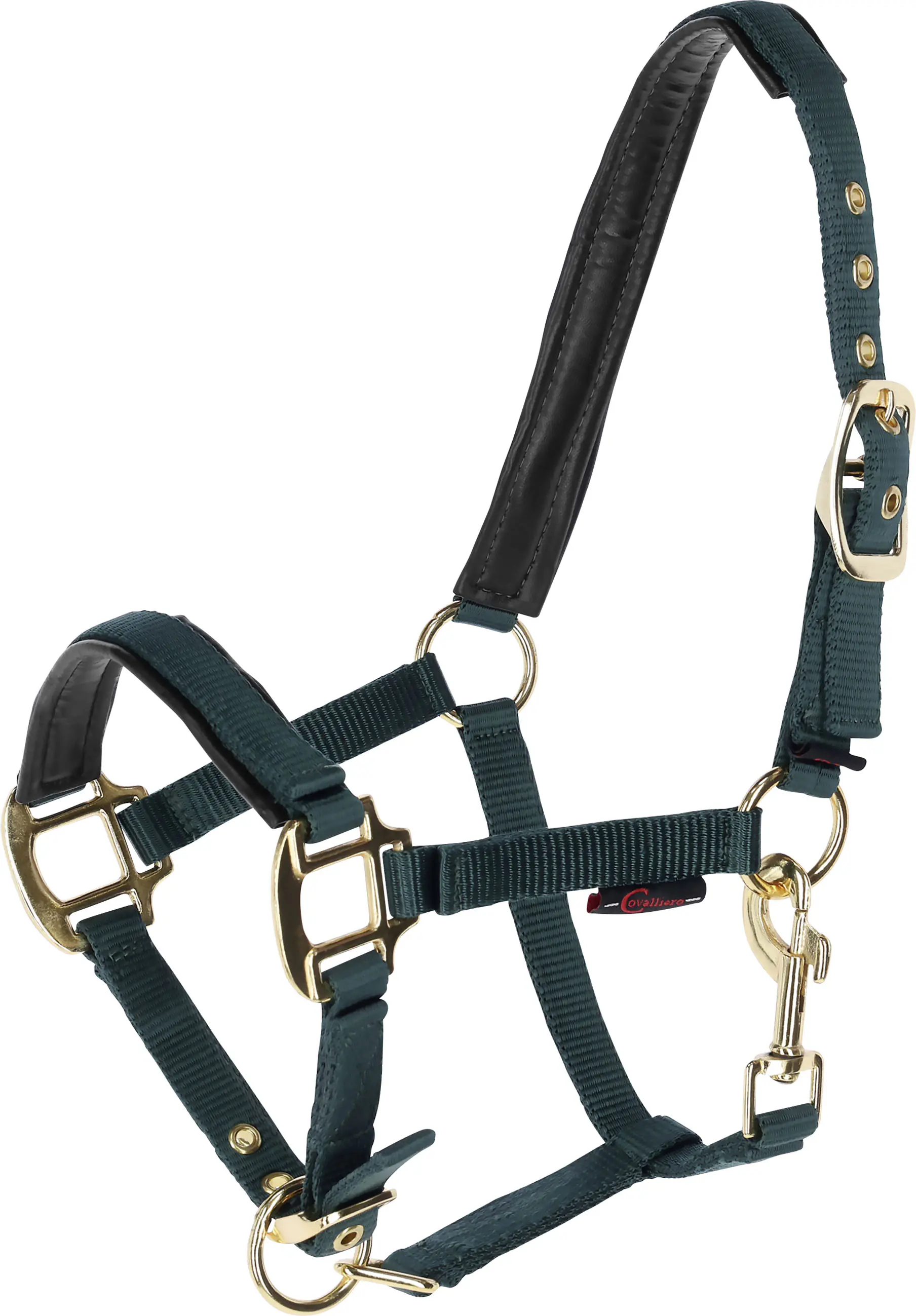 Kerbl Covalliero Fohlenhalfter TopLine forest