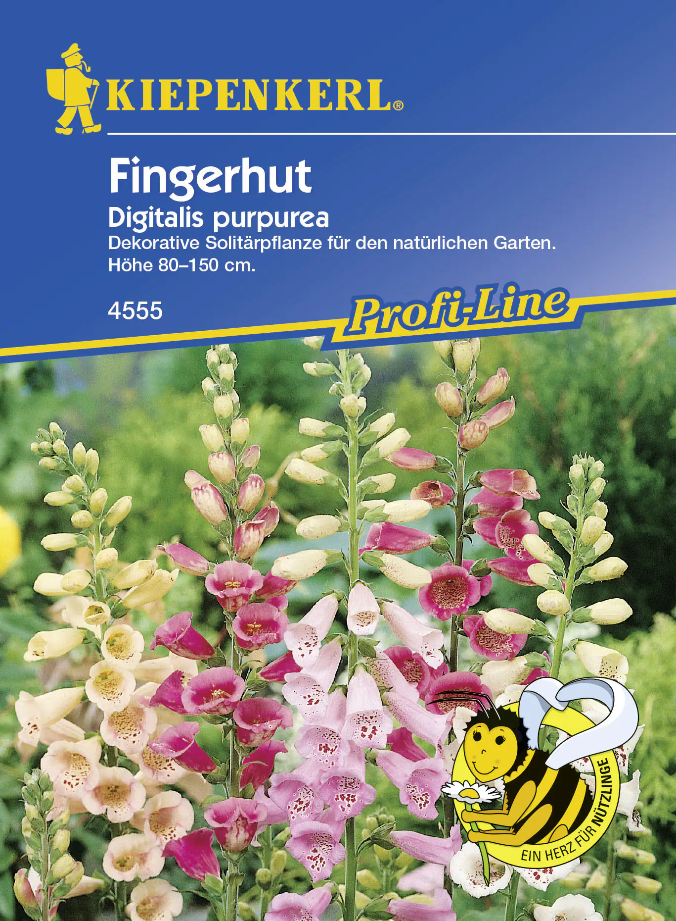 Kiepenkerl Fingerhut Digitalis purpurea Digitalis purpurea, Inhalt: 3 - 5 m²