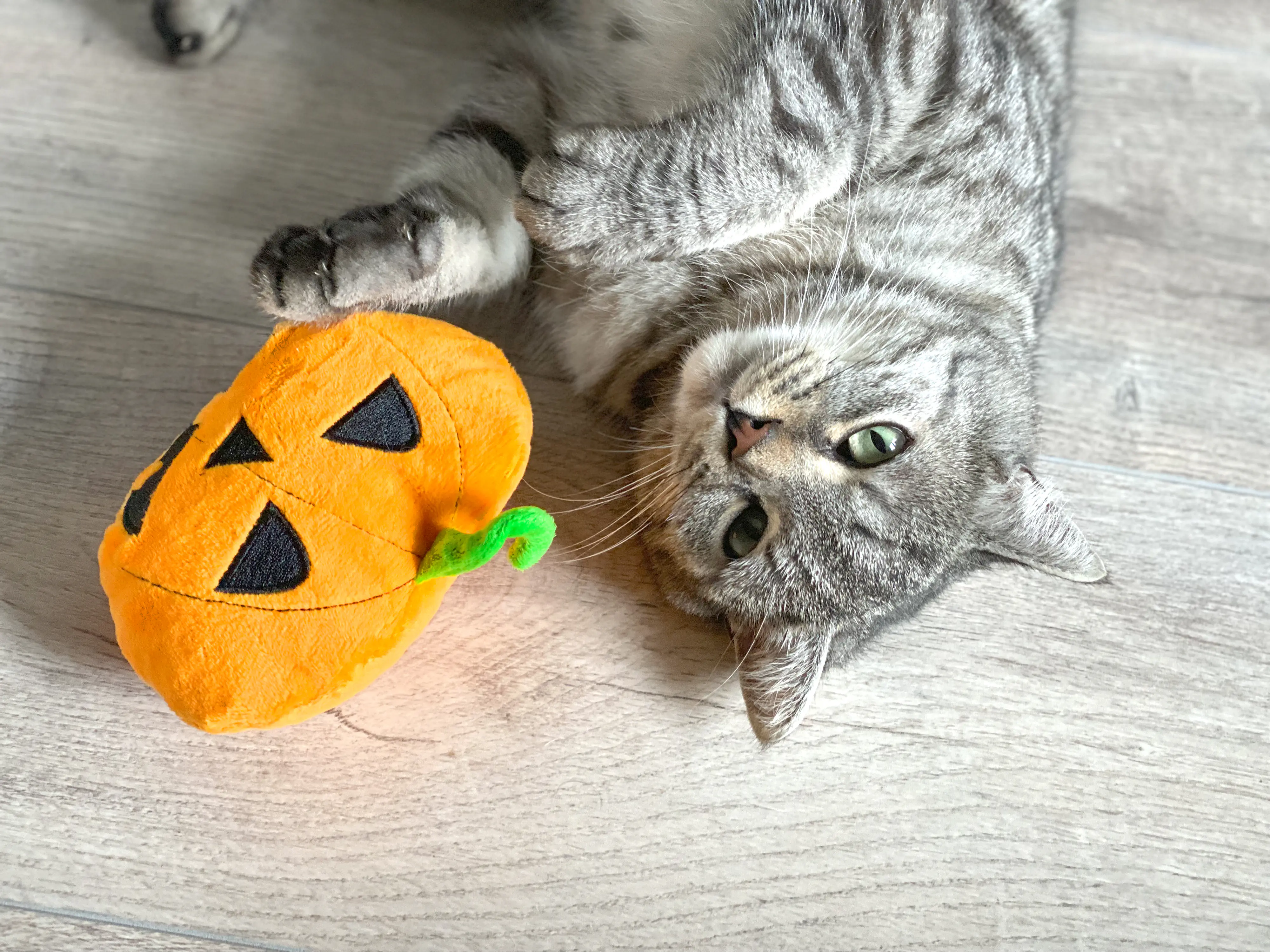 Aumüller Katzenspielzeug Kürbis 15 cm orange Aumüller Katzenspielzeug Kürbis 15 cm orange