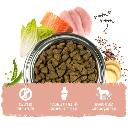 Bosch Trockenfutter für Hunde Adult 15 kg mit Lachs & Kartoffel Bosch Trockenfutter für Hunde Adult 15 kg mit Lachs & Kartoffel