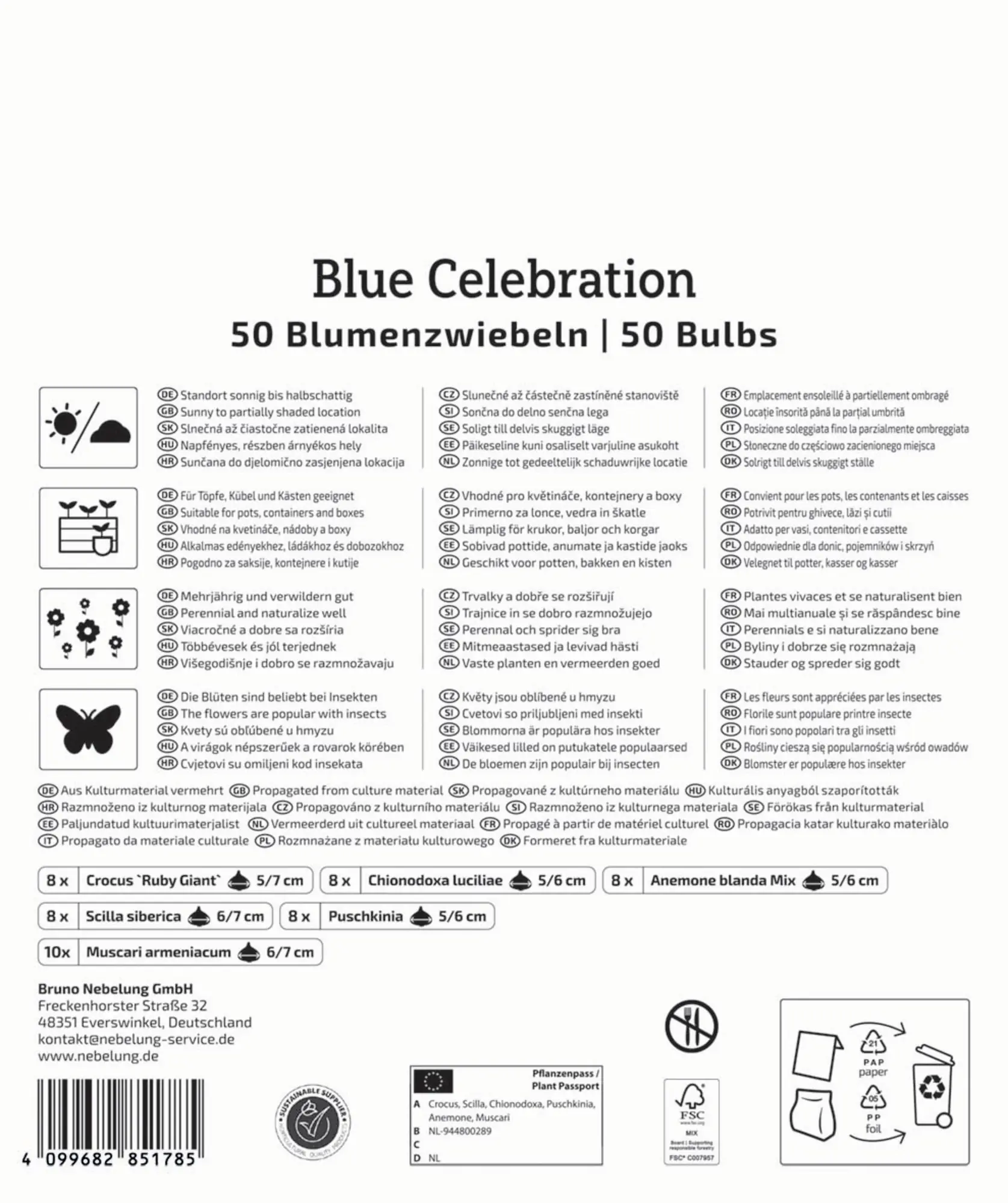 Kiepenkerl Herbstblumenzwiebelmischung Mega-Pack Blue Celebration 50 Stück