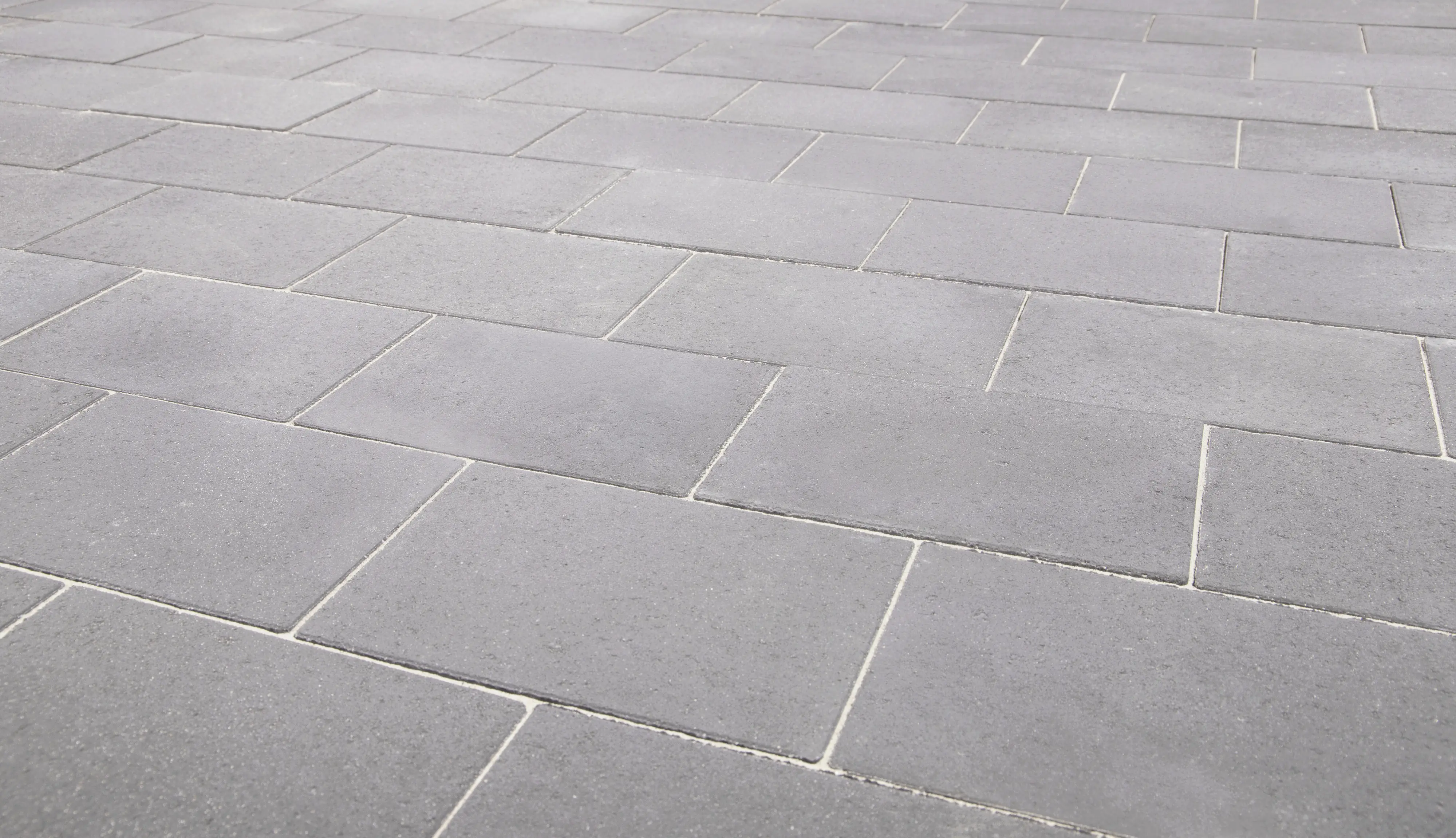 EHL Pflasterstein Veria 30 x 20 x 6 cm grau