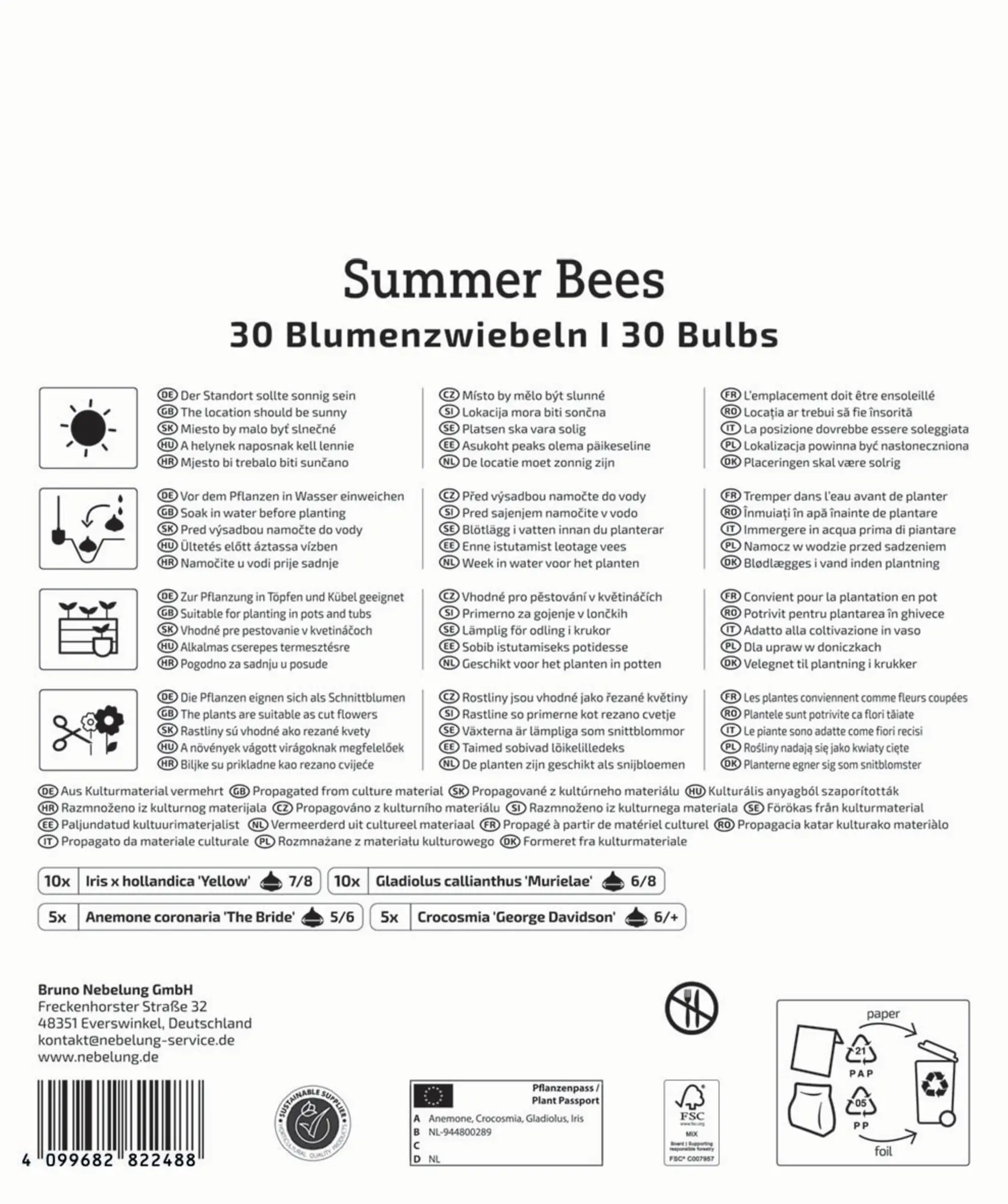 Kiepenkerl Saatgut Blumenzwiebelmischung Summer Bees Mega-Pack für ca. 30 Pflanzen