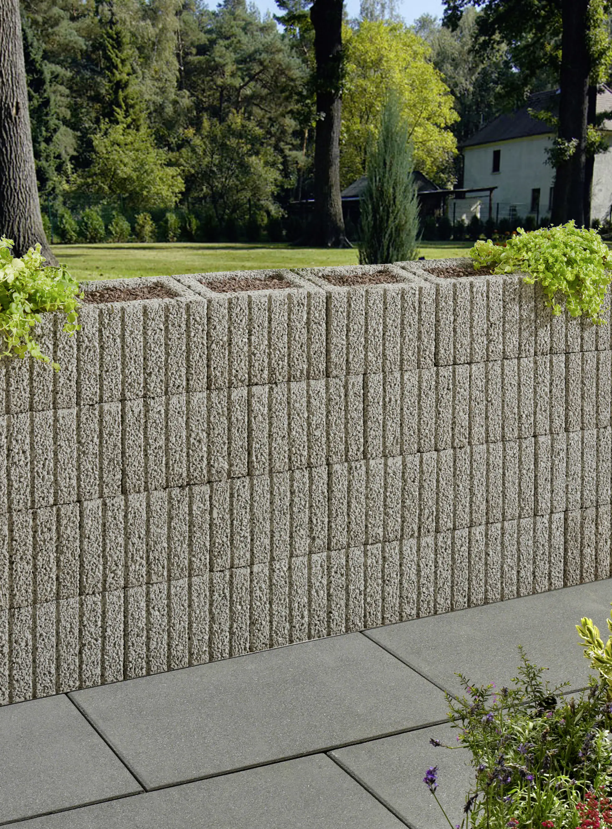 4024991262281_2234270 Kann Pflanzstein Mini 30 x 20 x 20 cm grau