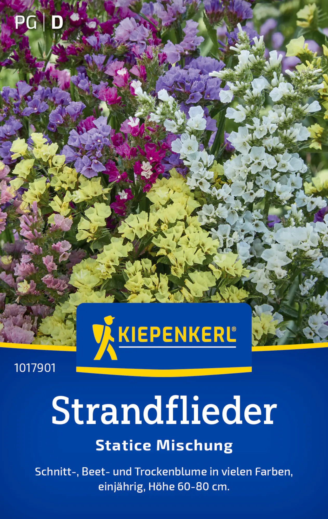 Kiepenkerl Blumensamen Strandflieder Statice Mischung für ca. 60 Pflanzen