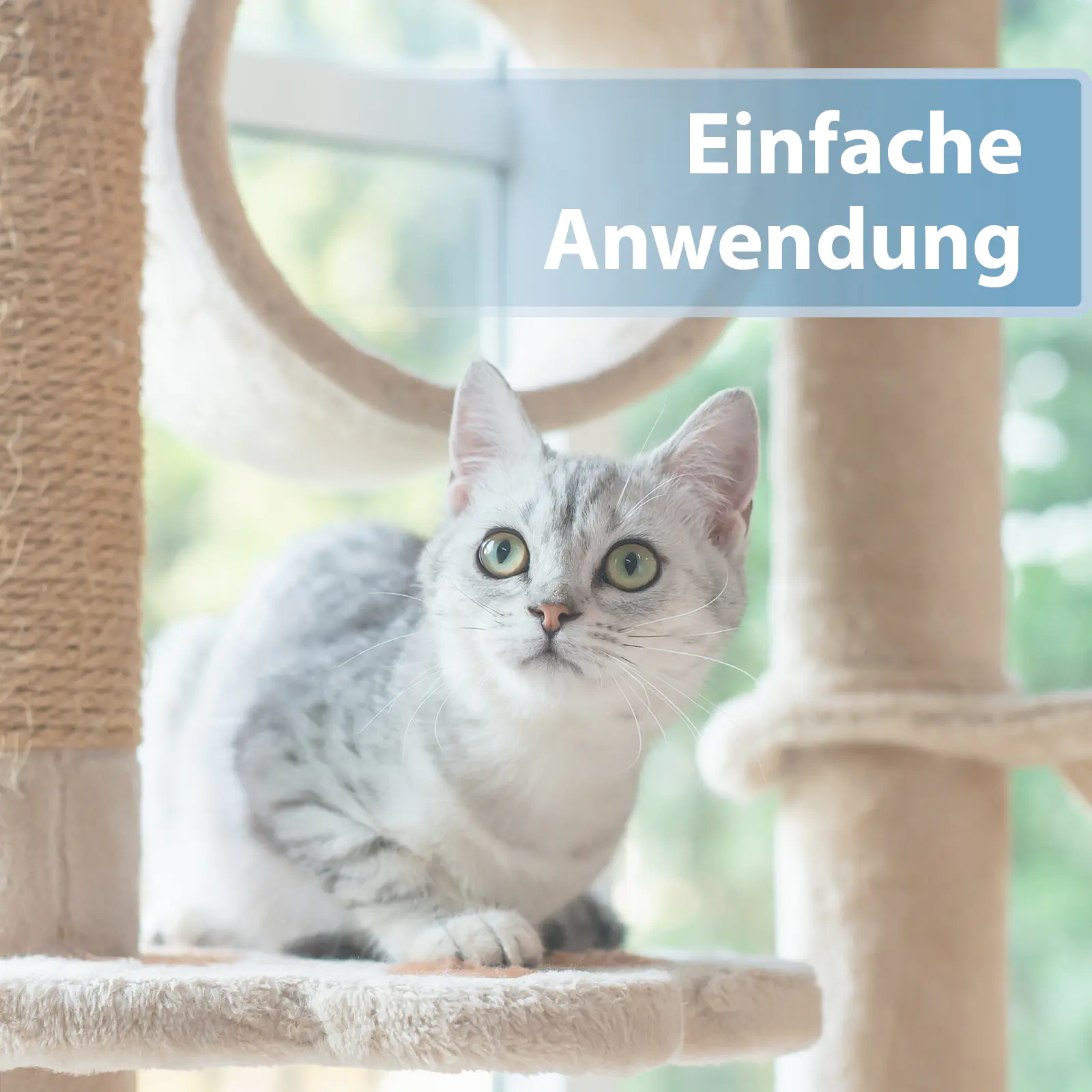 Felisept Ohrpflege Pads für Katzen 50 Stück