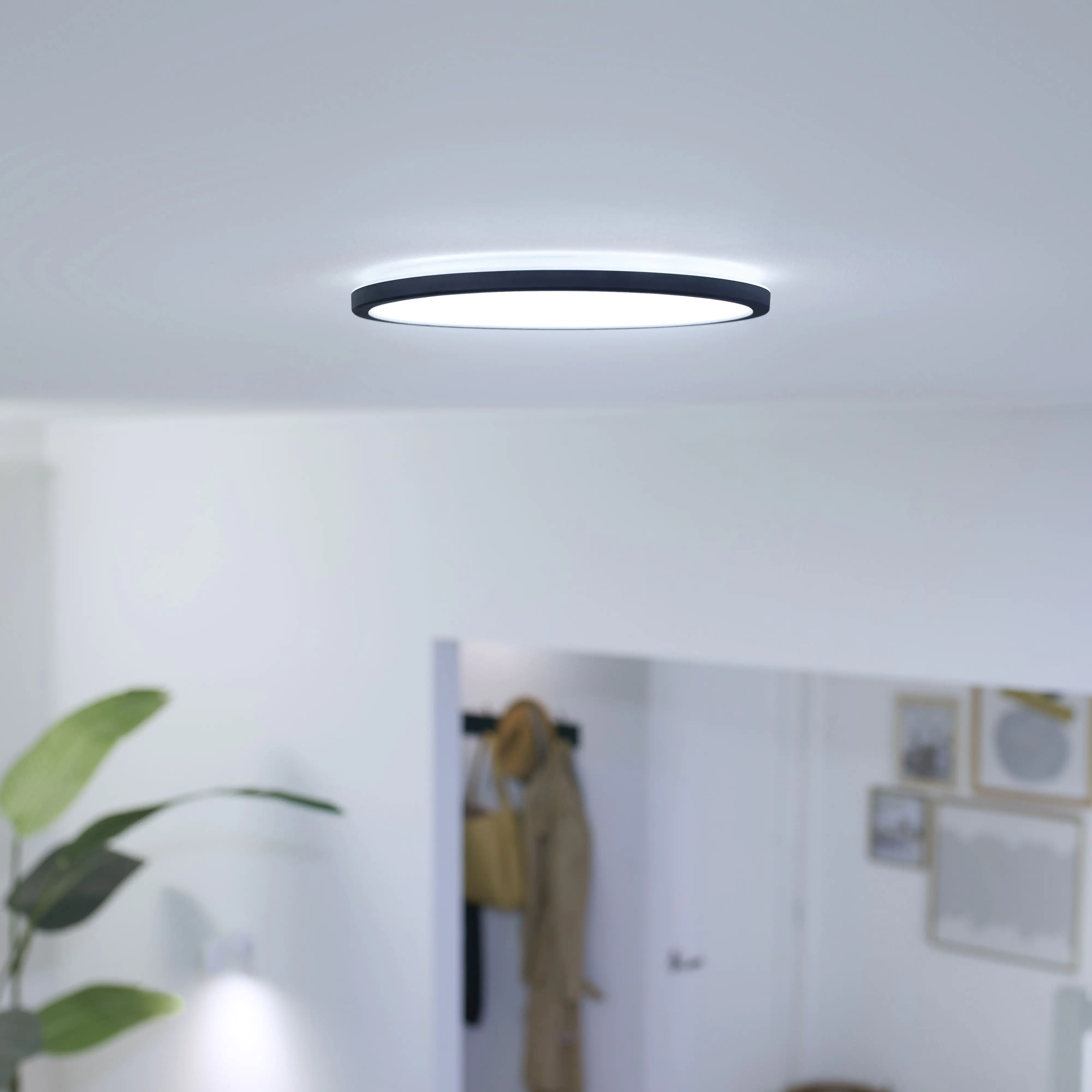 WIZ LED-Deckenleuchte SuperSlim 29 x 2 cm 16W warmweiß bis kaltweiß smart schwarz