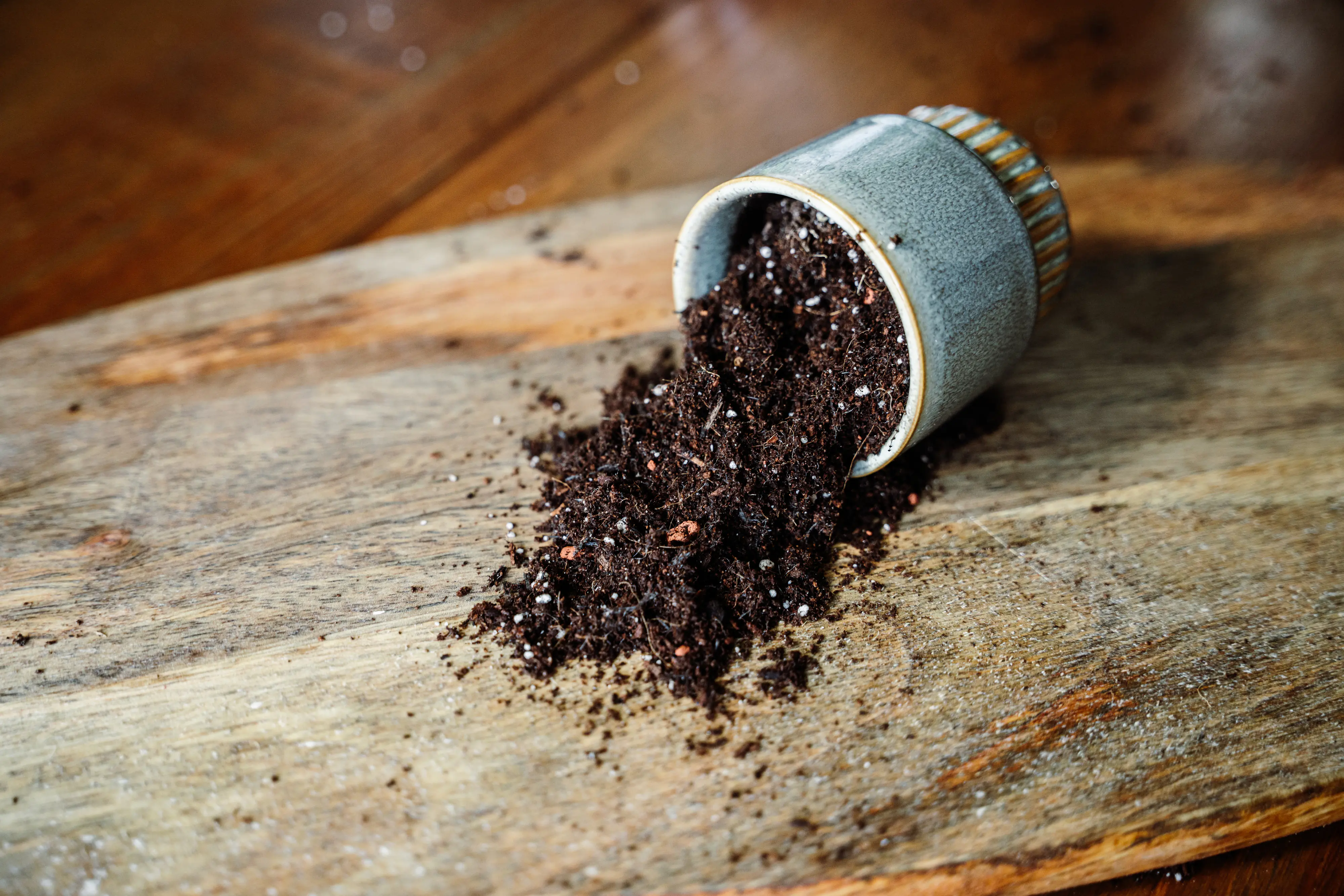 Westland Zimmerpflanzen Erde torffrei 8 L Westland Zimmerpflanzen Erde torffrei 8 L