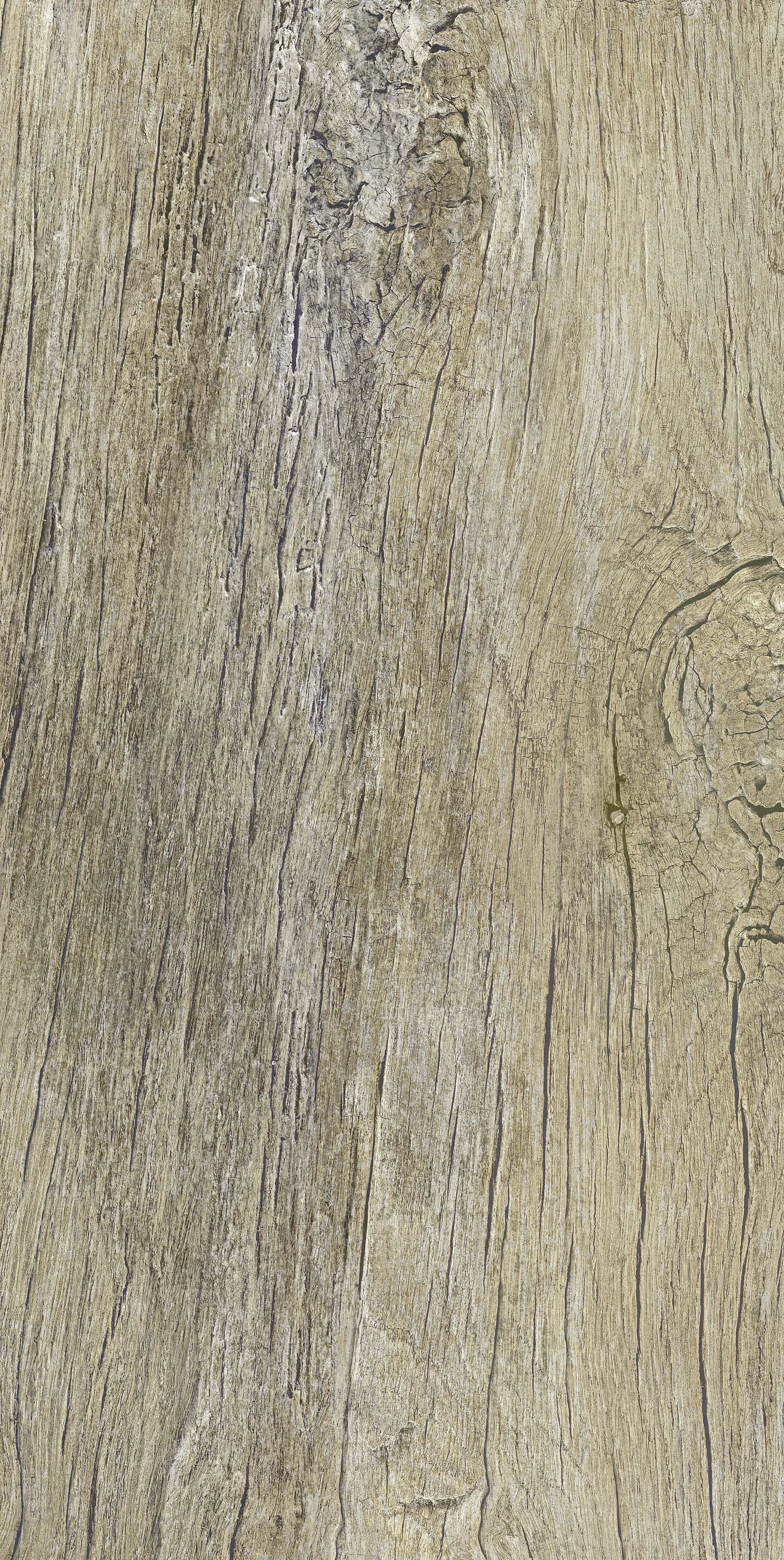 Bodenfliese Feinsteinzeug Radice 31 x 62 cm beige